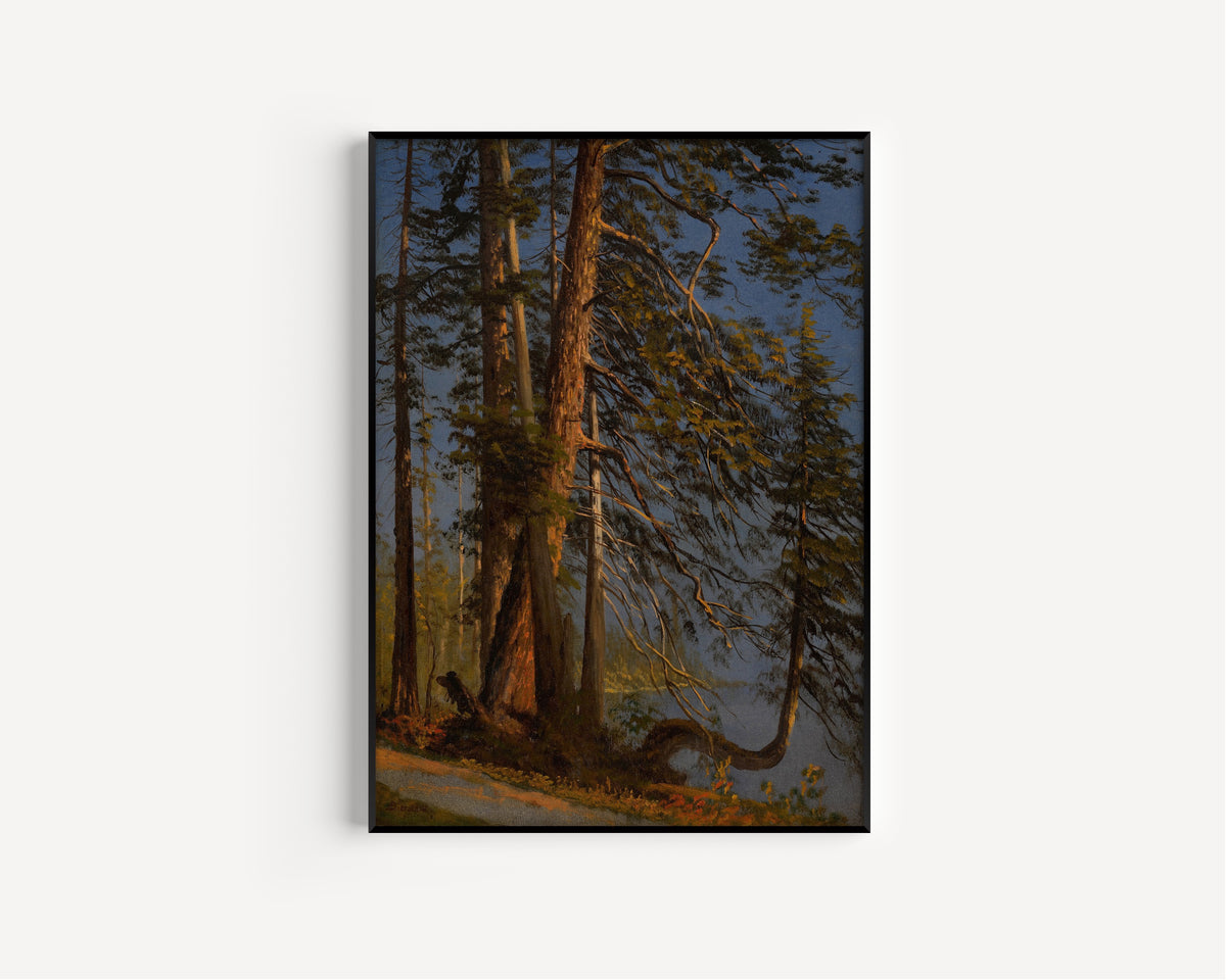 Albert Bierstadt — Park at Vancouver | Landscape Fine Art Print - 9ArtPrints