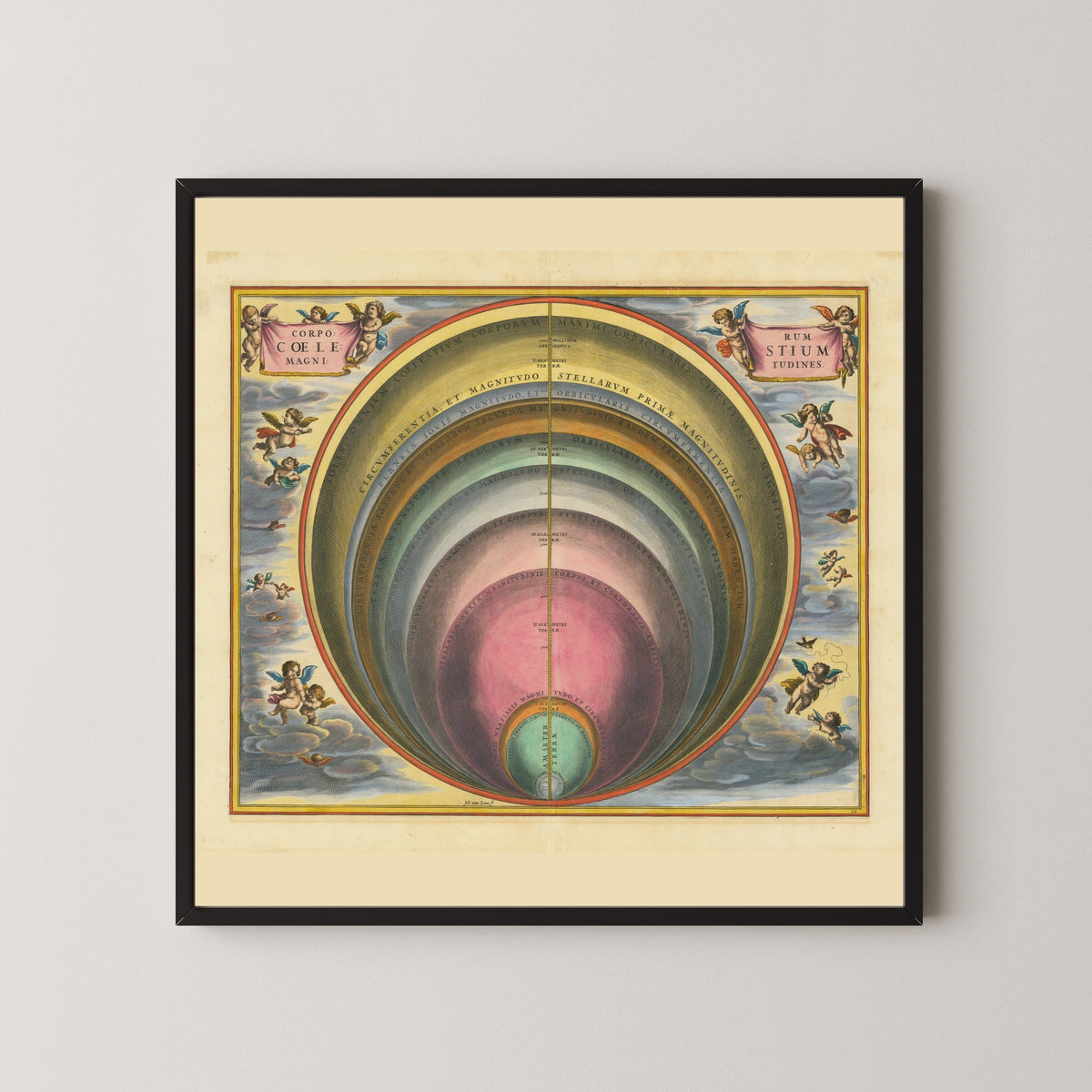 Andreas Cellarius — The Magnitudes of the Celestial Bodies (Plate 10, Rose Colouring) | Celestial Map Print - 9ArtPrints