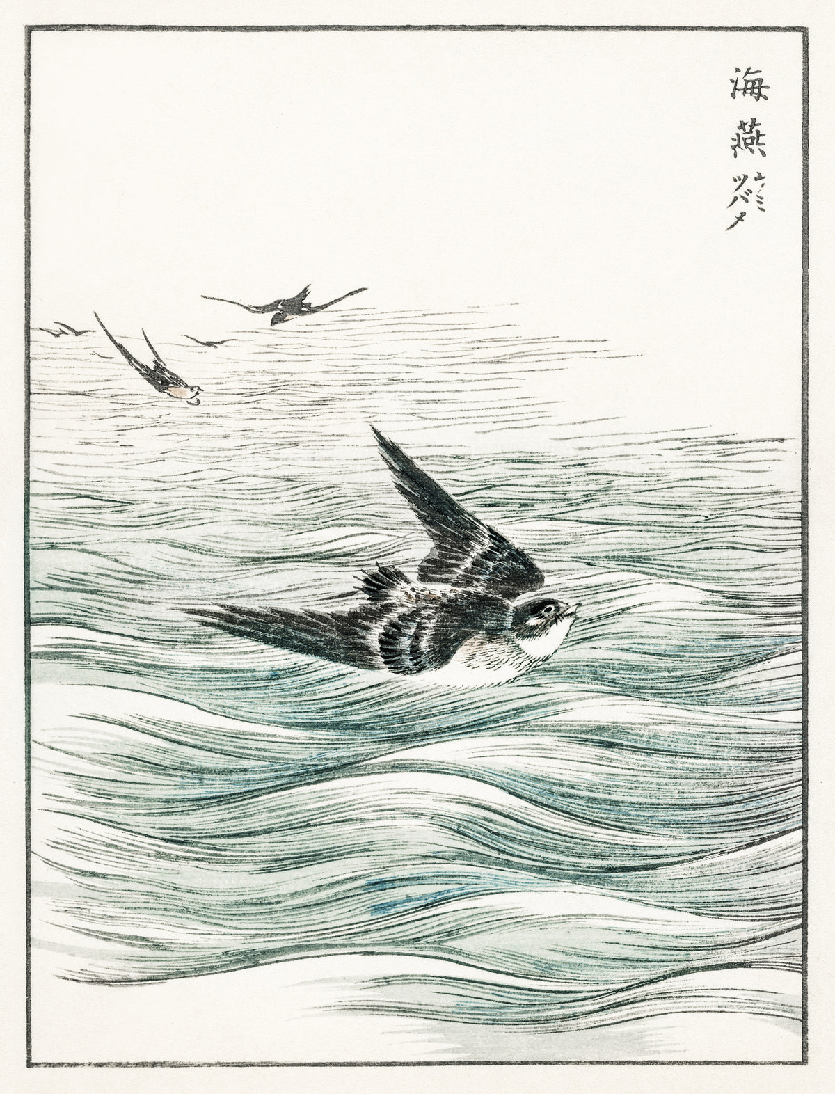 Numata Kashū — Riu Kiu House Swallow | Japanese Bird & Flower Woodblock Print