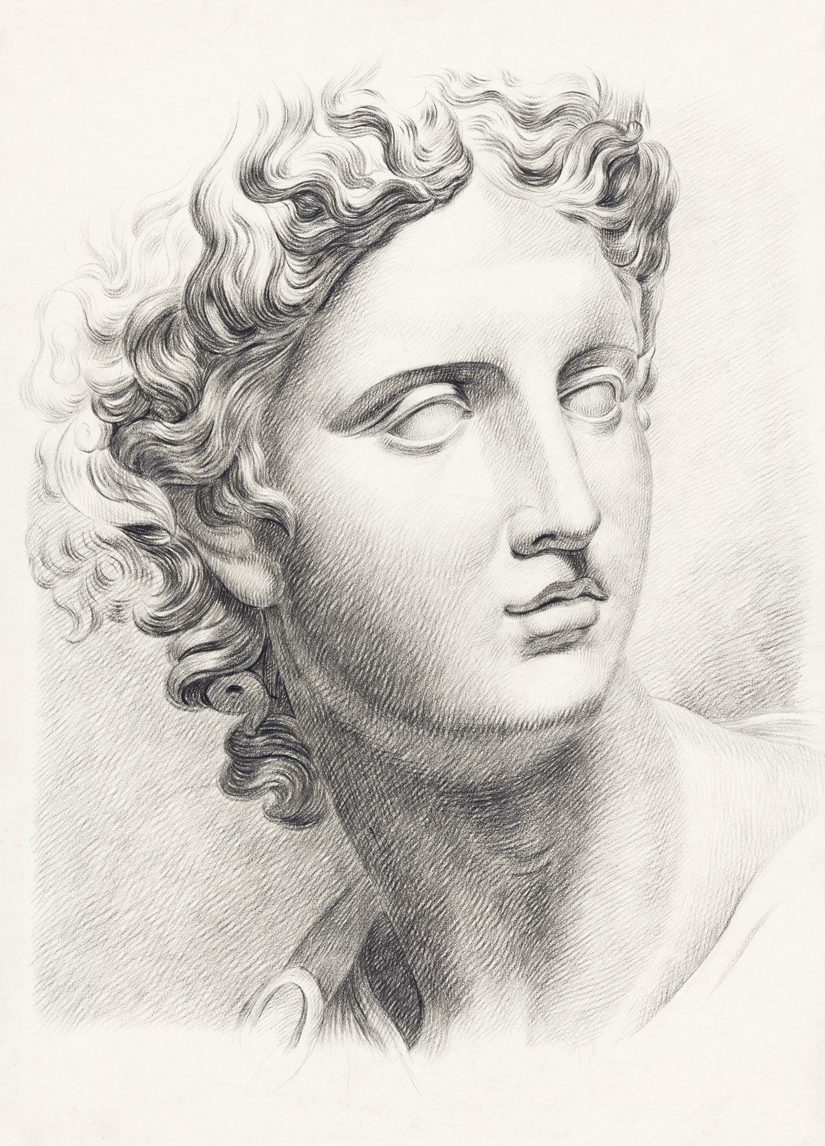 Man's Head by Johannes Tavenraat — A curling-haired classical head is studied in fine crosshatch