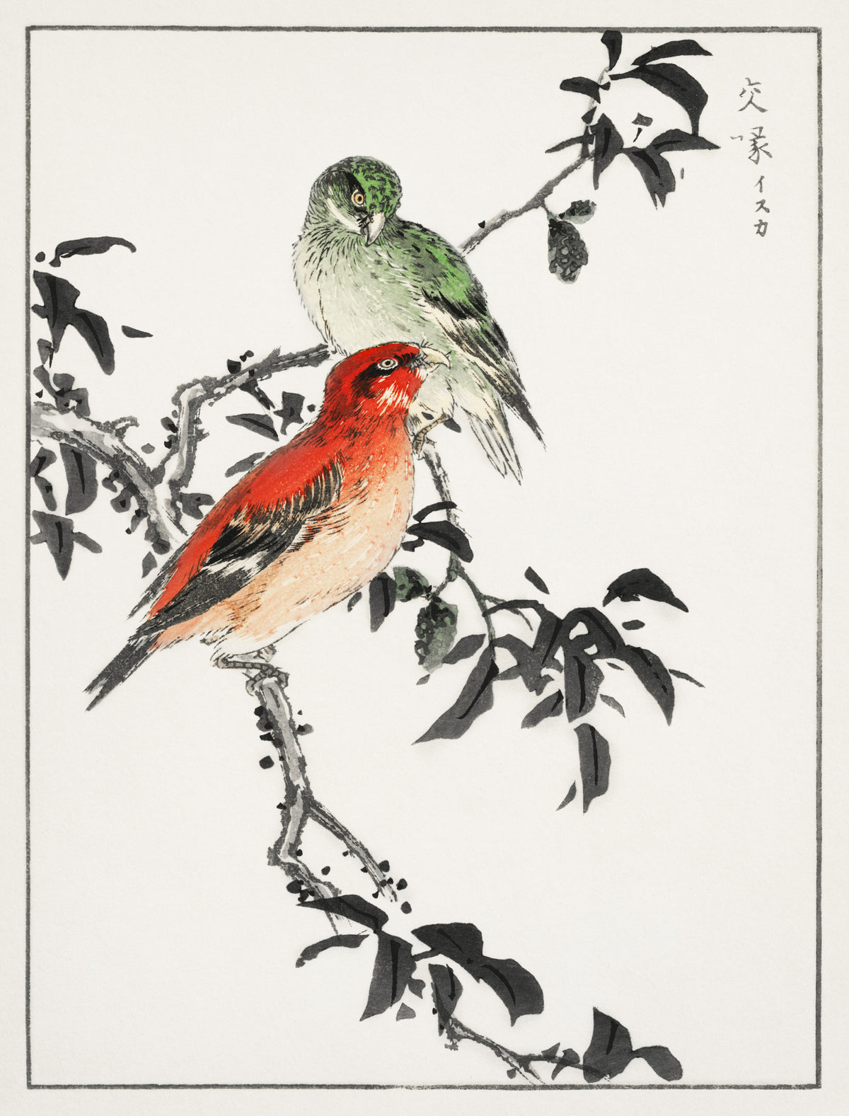 Numata Kashū — Crossbill | Japanese Bird & Flower Woodblock Print