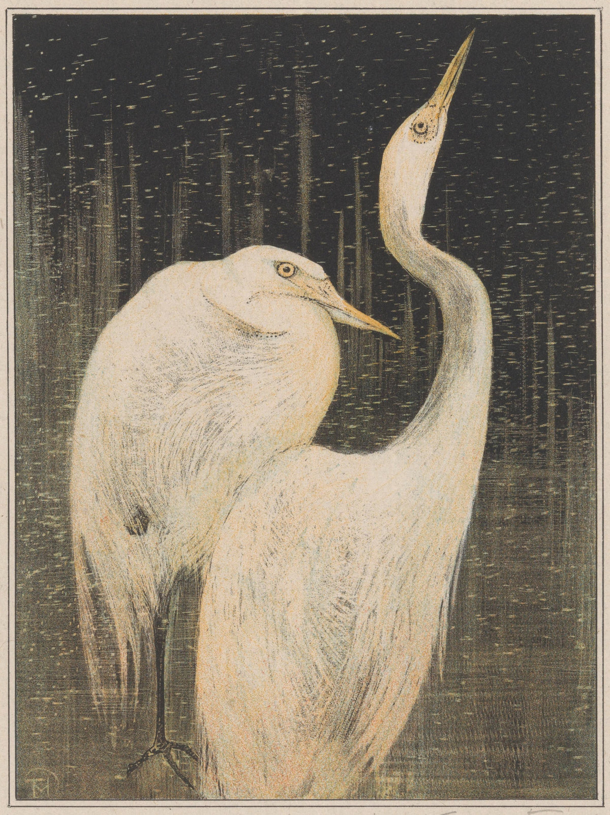 Theo van Hoytema — Two Great Egrets | Art Nouveau Print