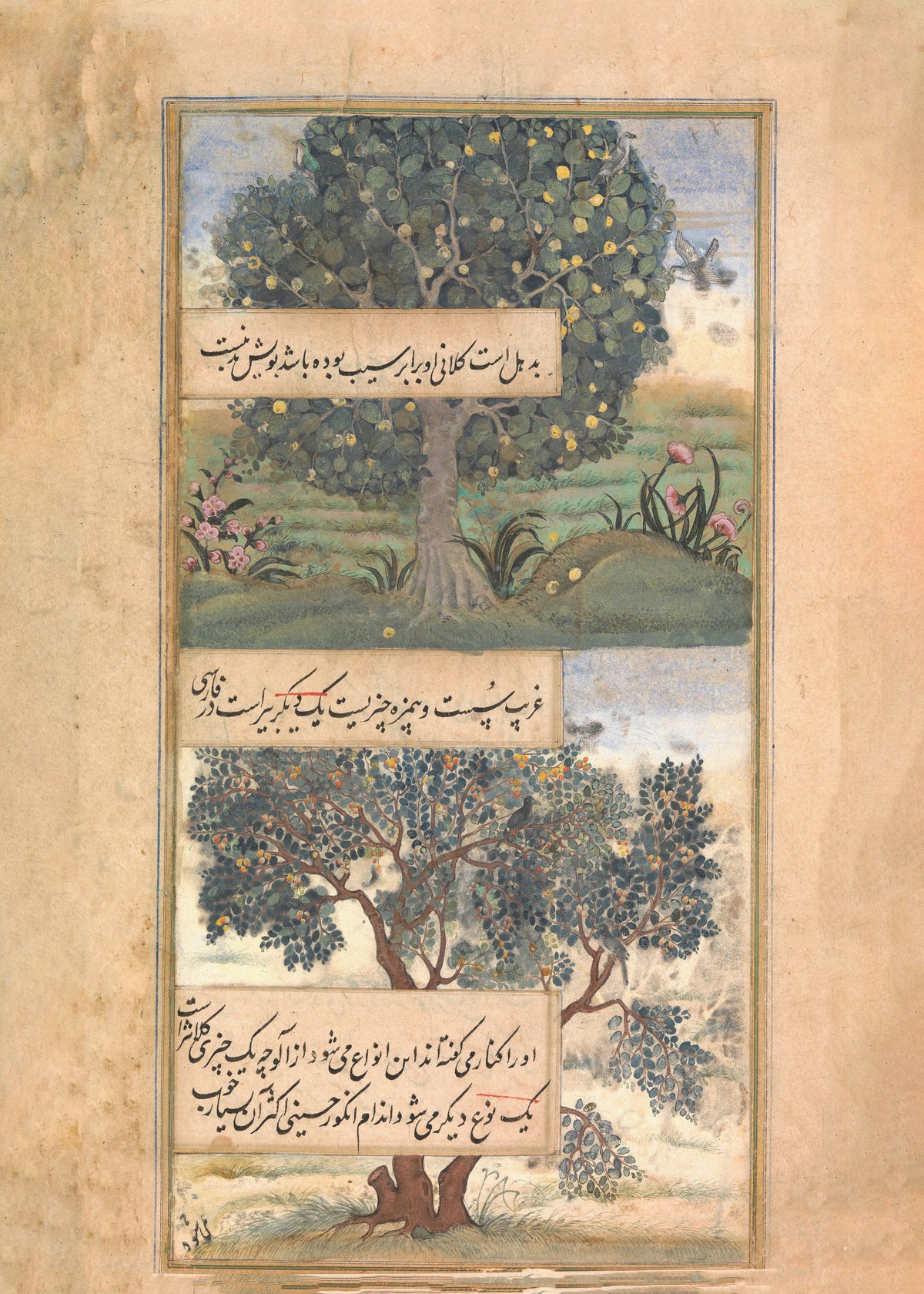 Mughal Court Painting — Three Trees of India | Mughal Painting Art Print