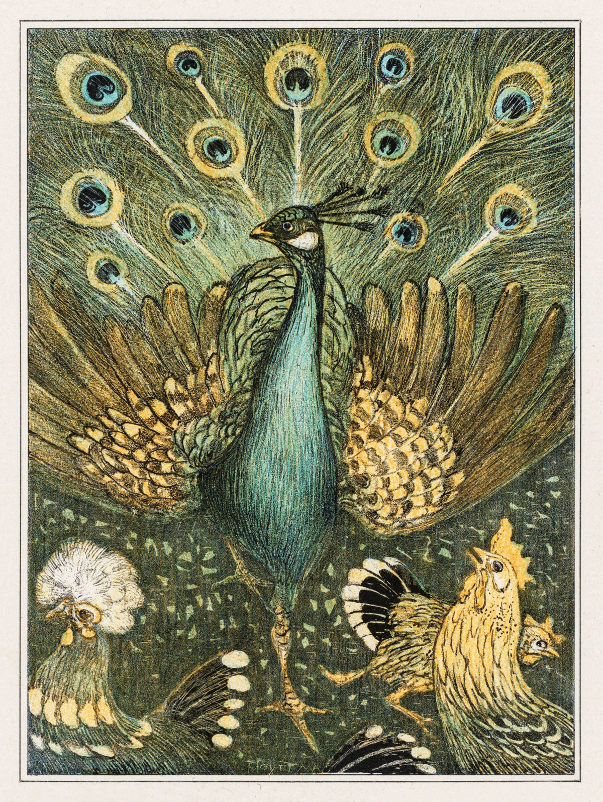 Theo van Hoytema — Peacock | Art Nouveau Print