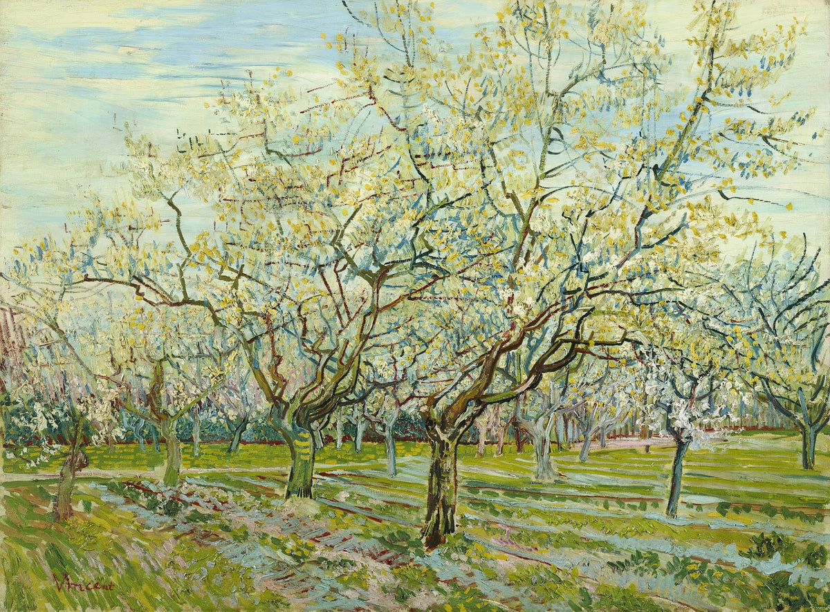 Vincent van Gogh — The White Orchard | Fine Art Print