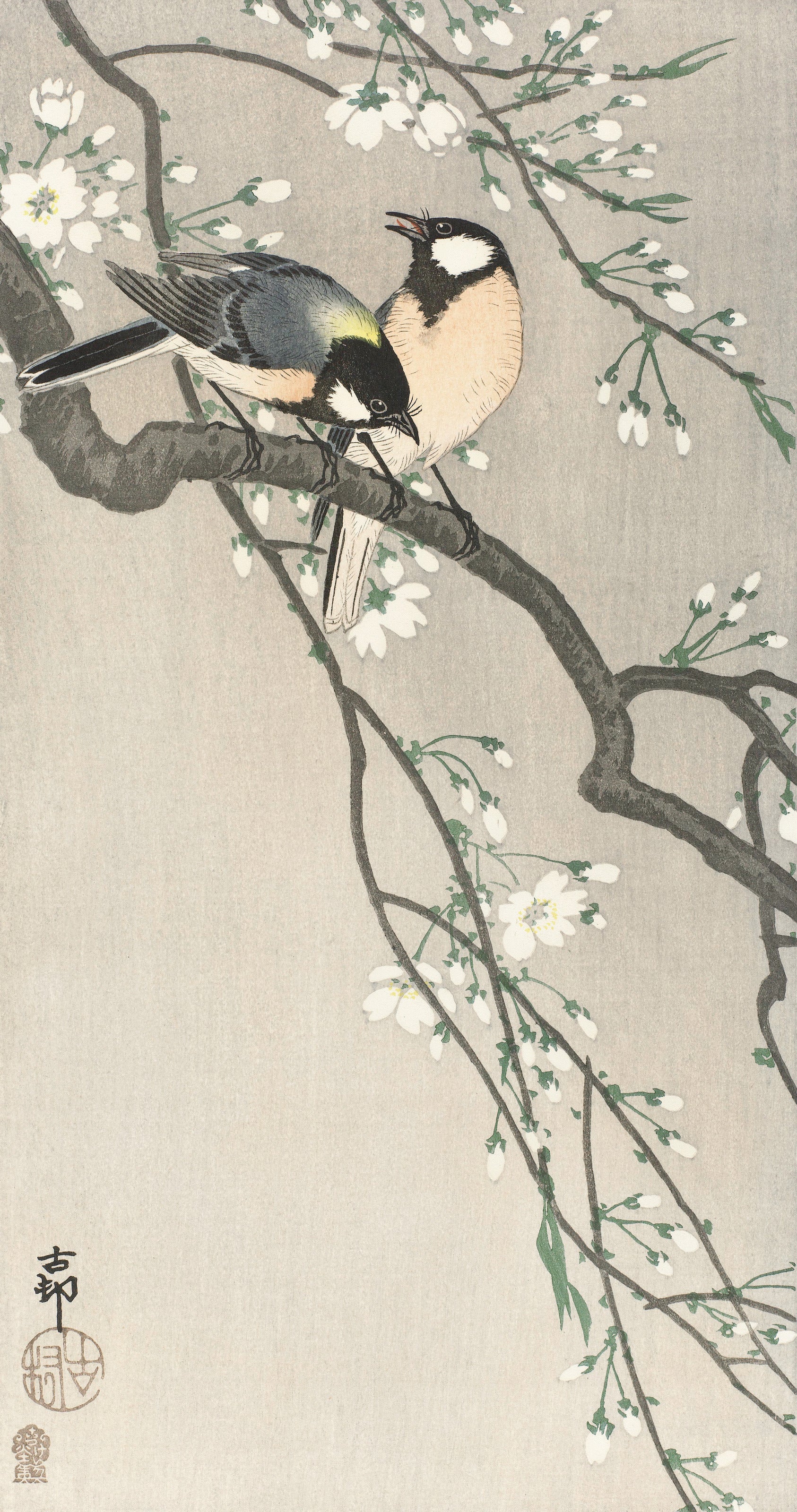 Ohara Koson — Tits on Cherry Branch | Japanese Bird & Flower Woodblock Print