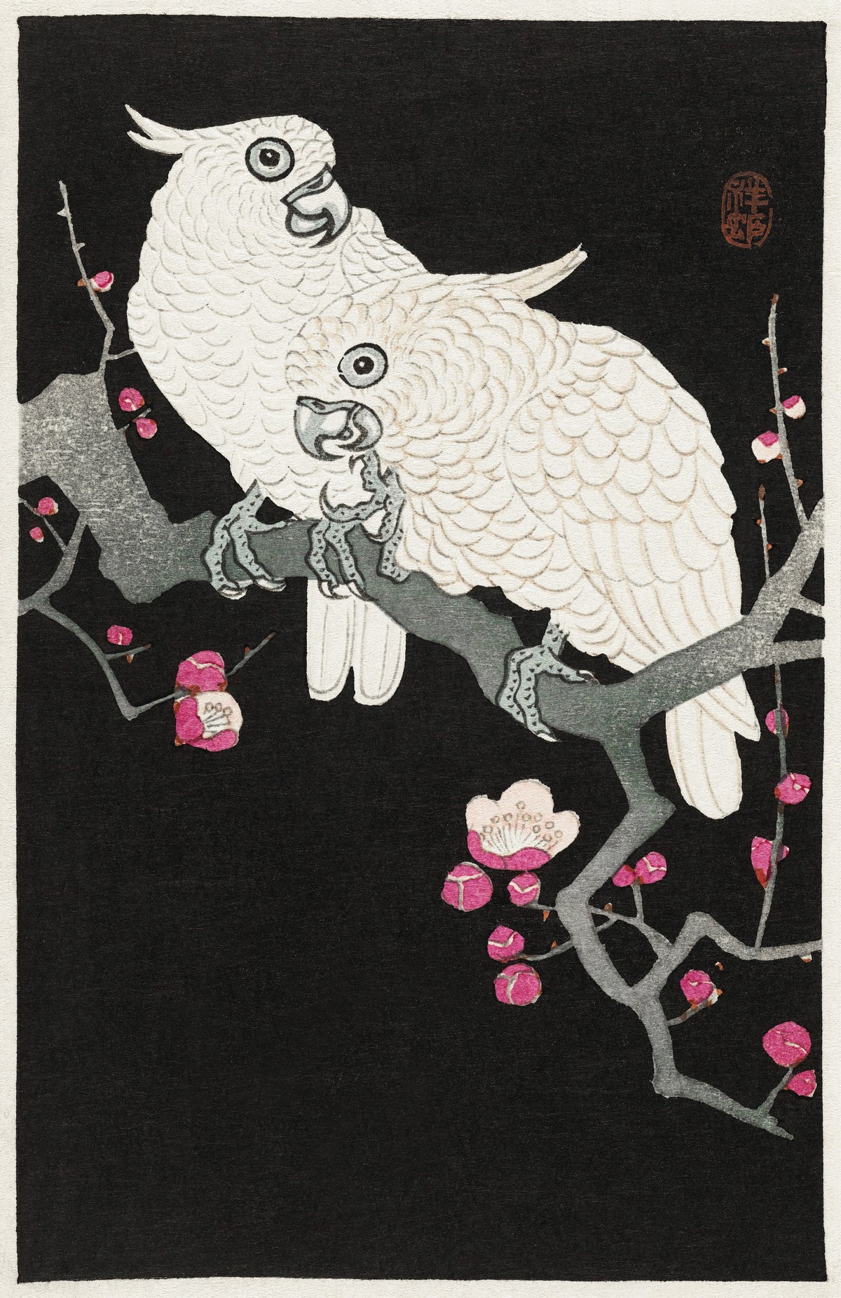 Ohara Koson — Two Cockatoos and Plum Blossom | Japanese Bird & Flower Woodblock Print