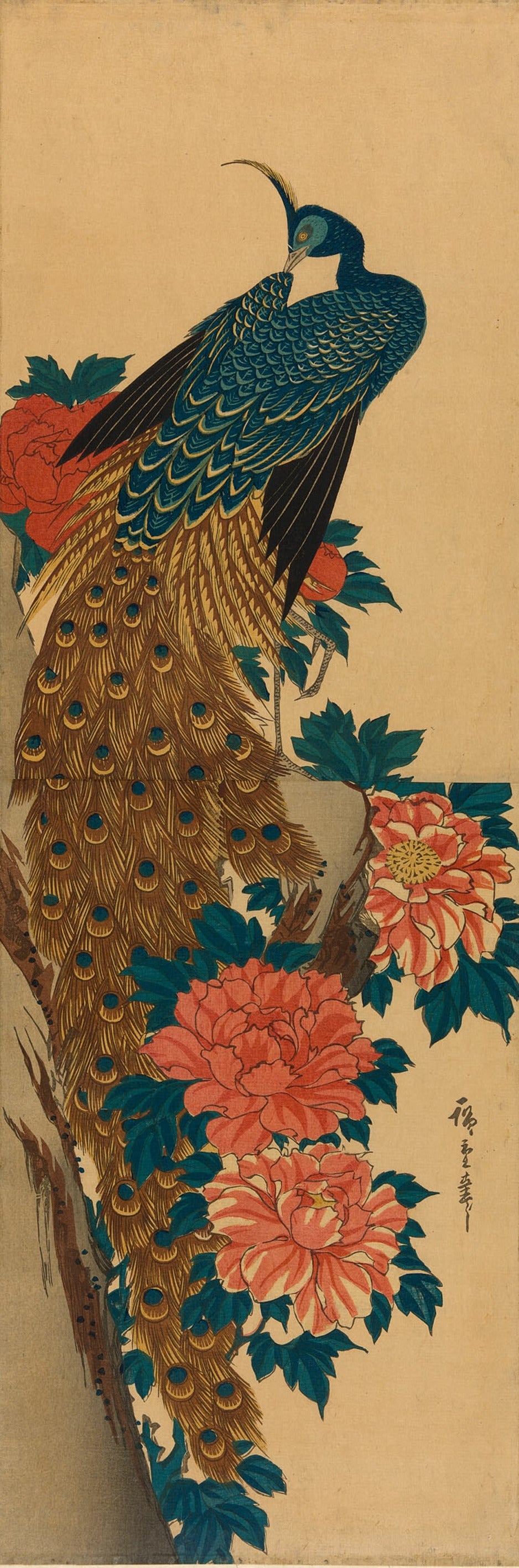 Utagawa Hiroshige — Peacock and Peonies | Japanese Woodblock Print (Ukiyo-e)