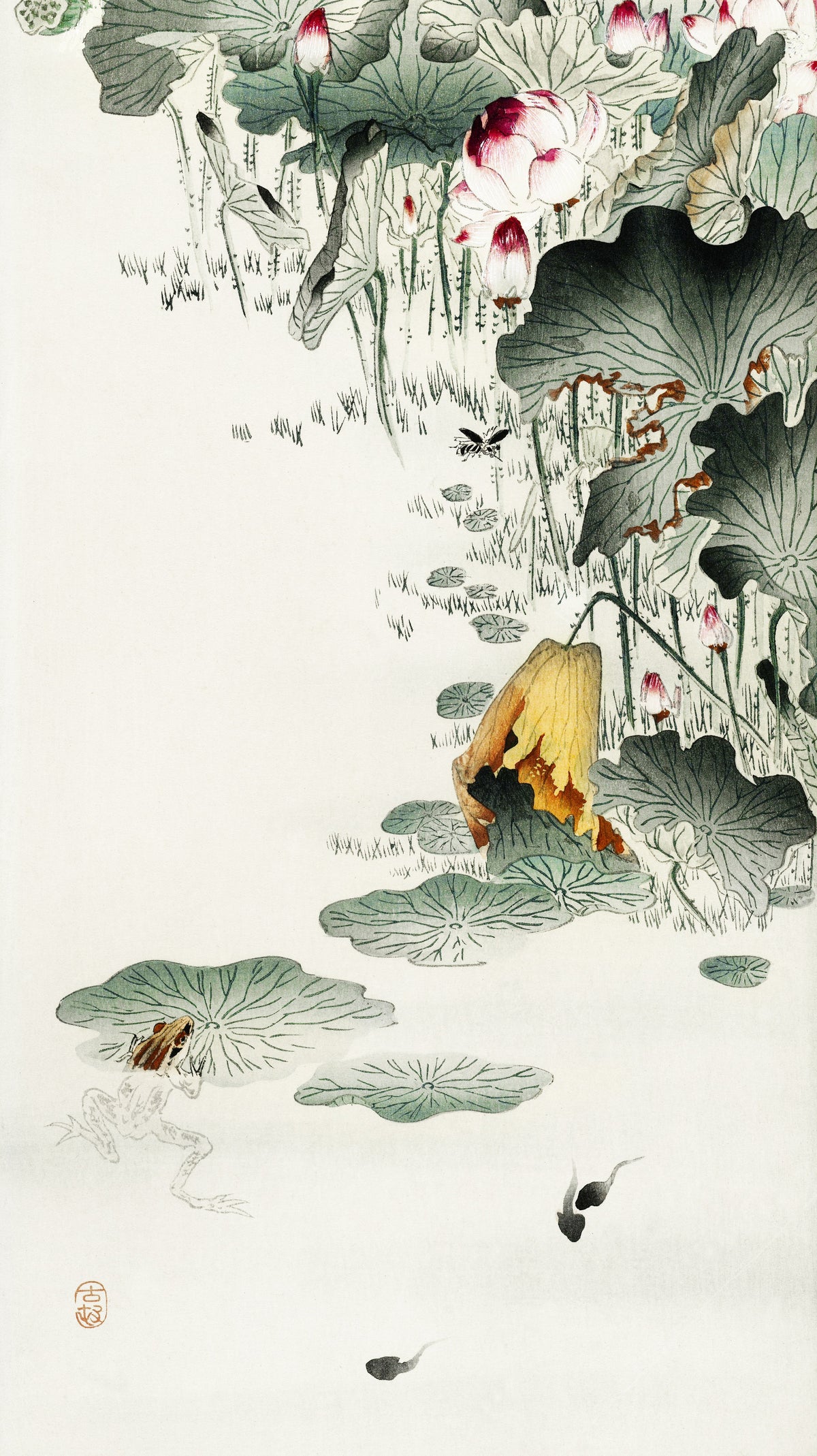 Ohara Koson — Frog and Tadpoles | Japanese Bird & Flower Woodblock Print