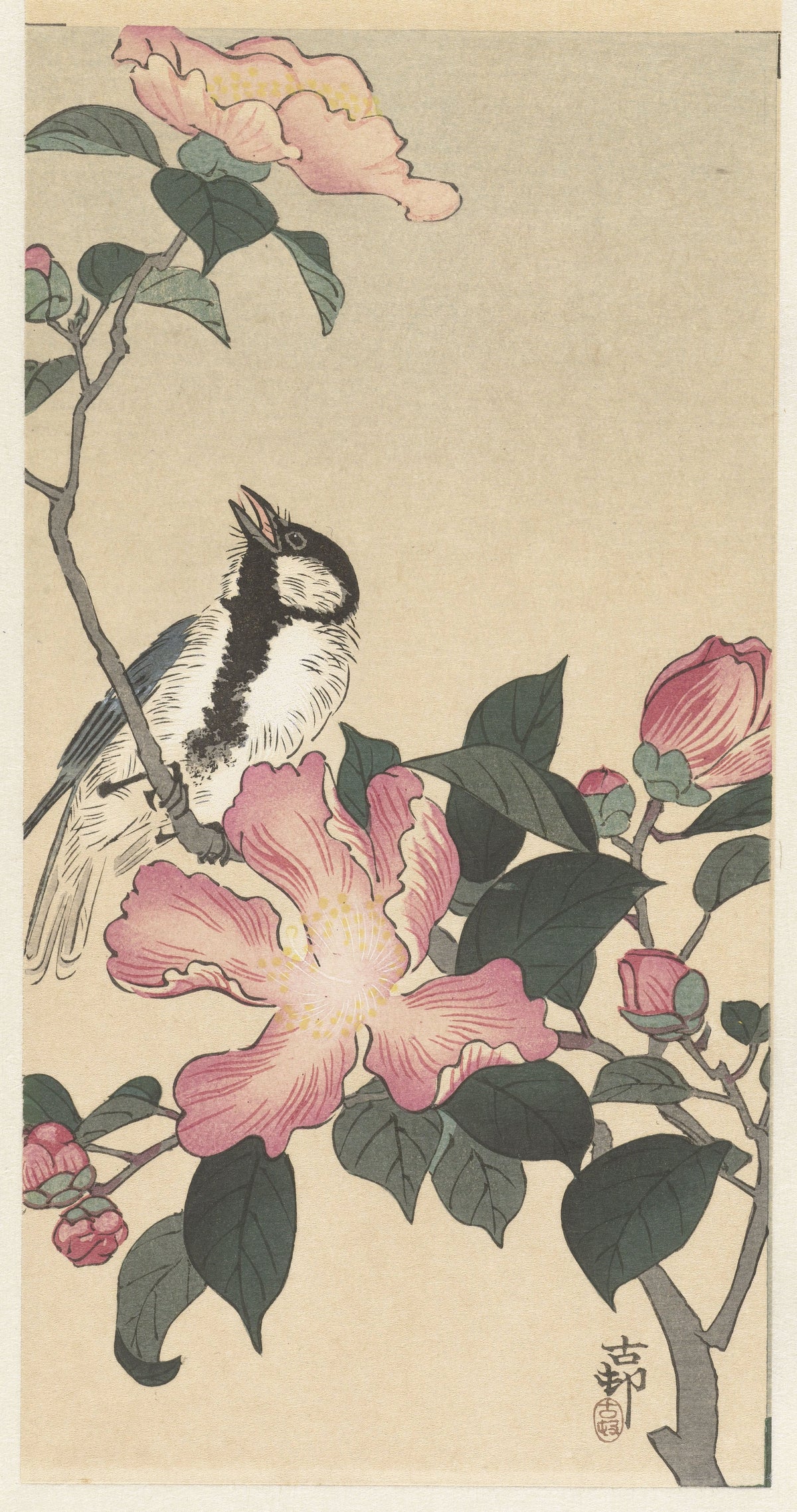 Ohara Koson — Great Tit on Branch with Pink Flowers | Japanese Bird & Flower Woodblock Print