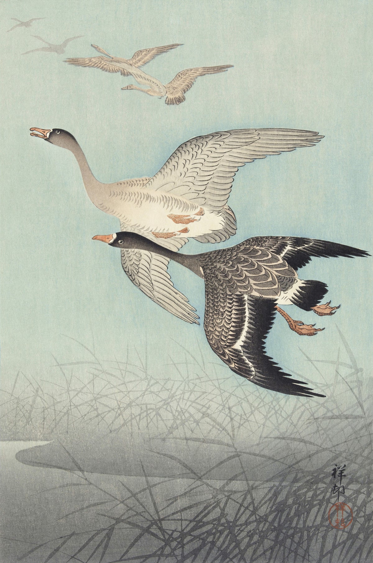 Ohara Koson — Great Geese in Flight | Japanese Bird & Flower Woodblock Print