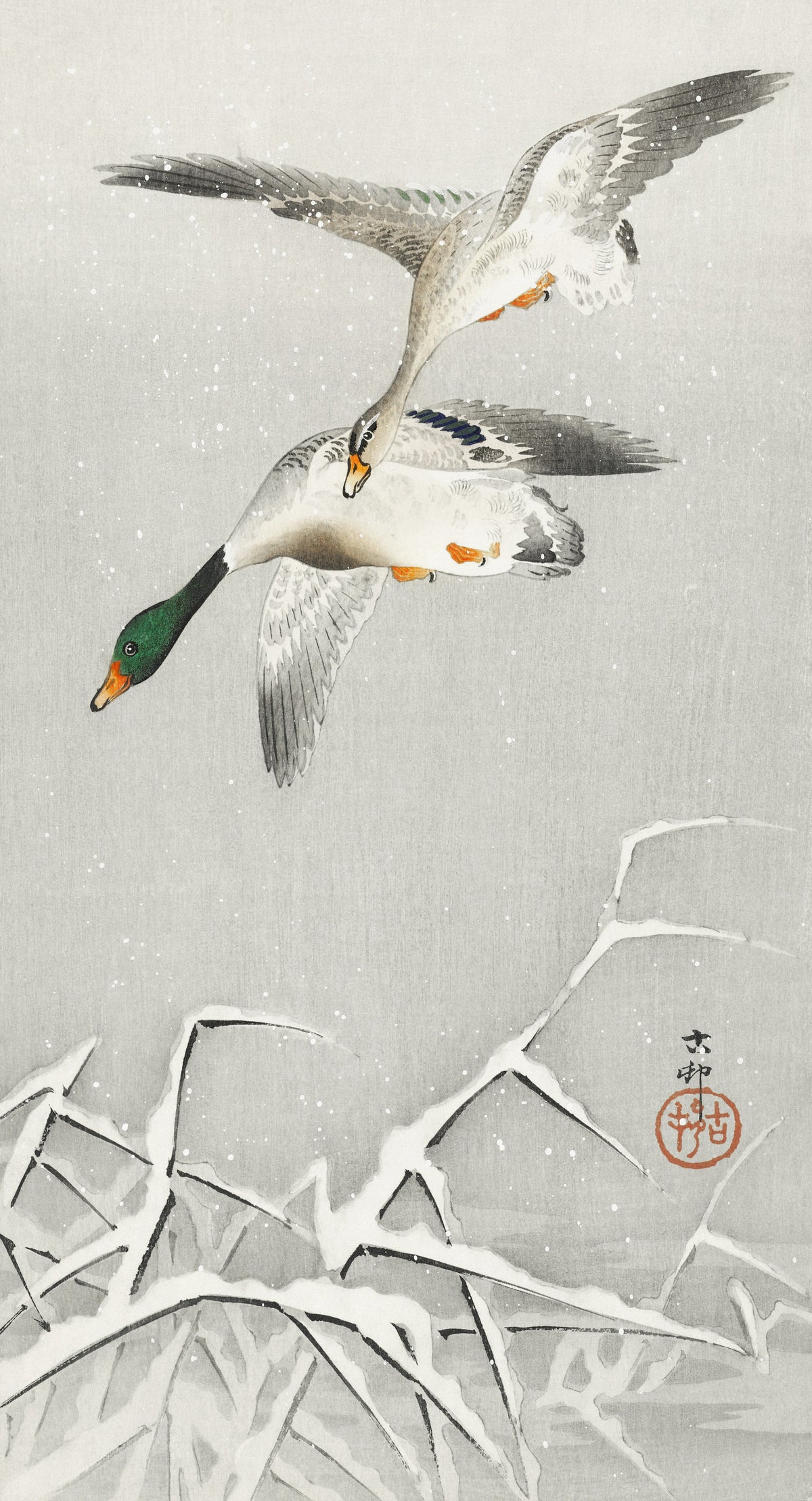 Ohara Koson — Two Wild Ducks in Flight | Japanese Bird & Flower Woodblock Print