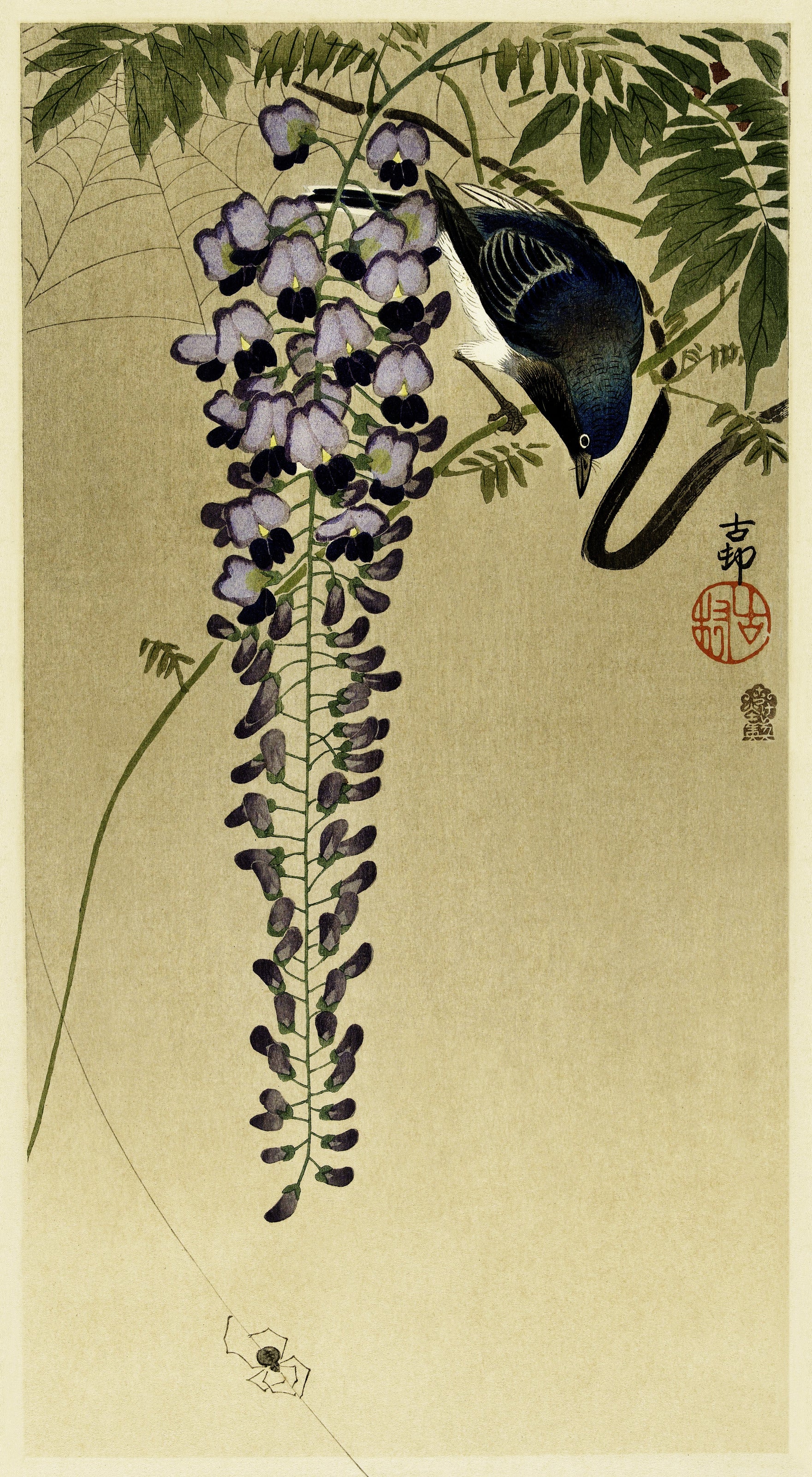 Ohara Koson — Flycatcher at Wisteria | Japanese Bird & Flower Woodblock Print