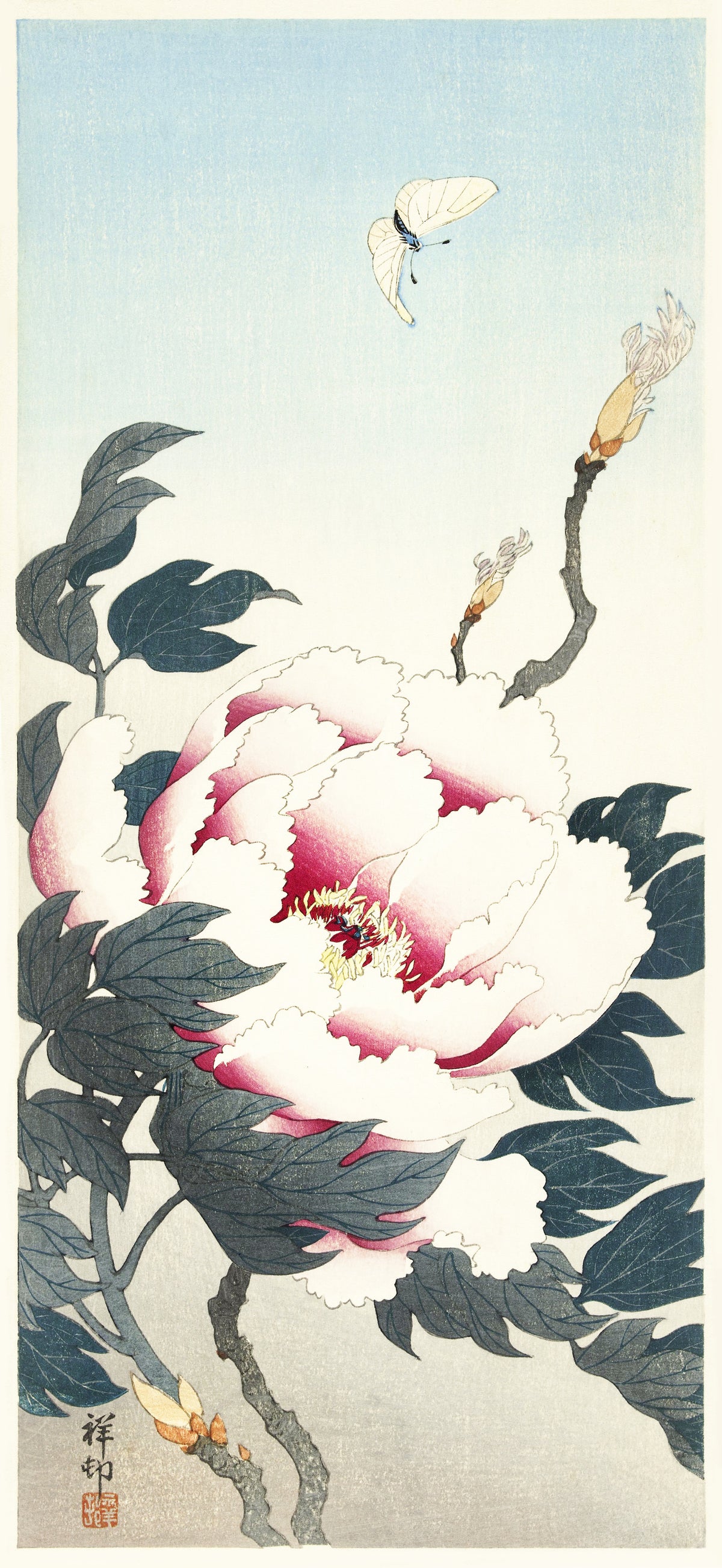 Ohara Koson — Peony with Butterfly | Japanese Bird & Flower Woodblock Print