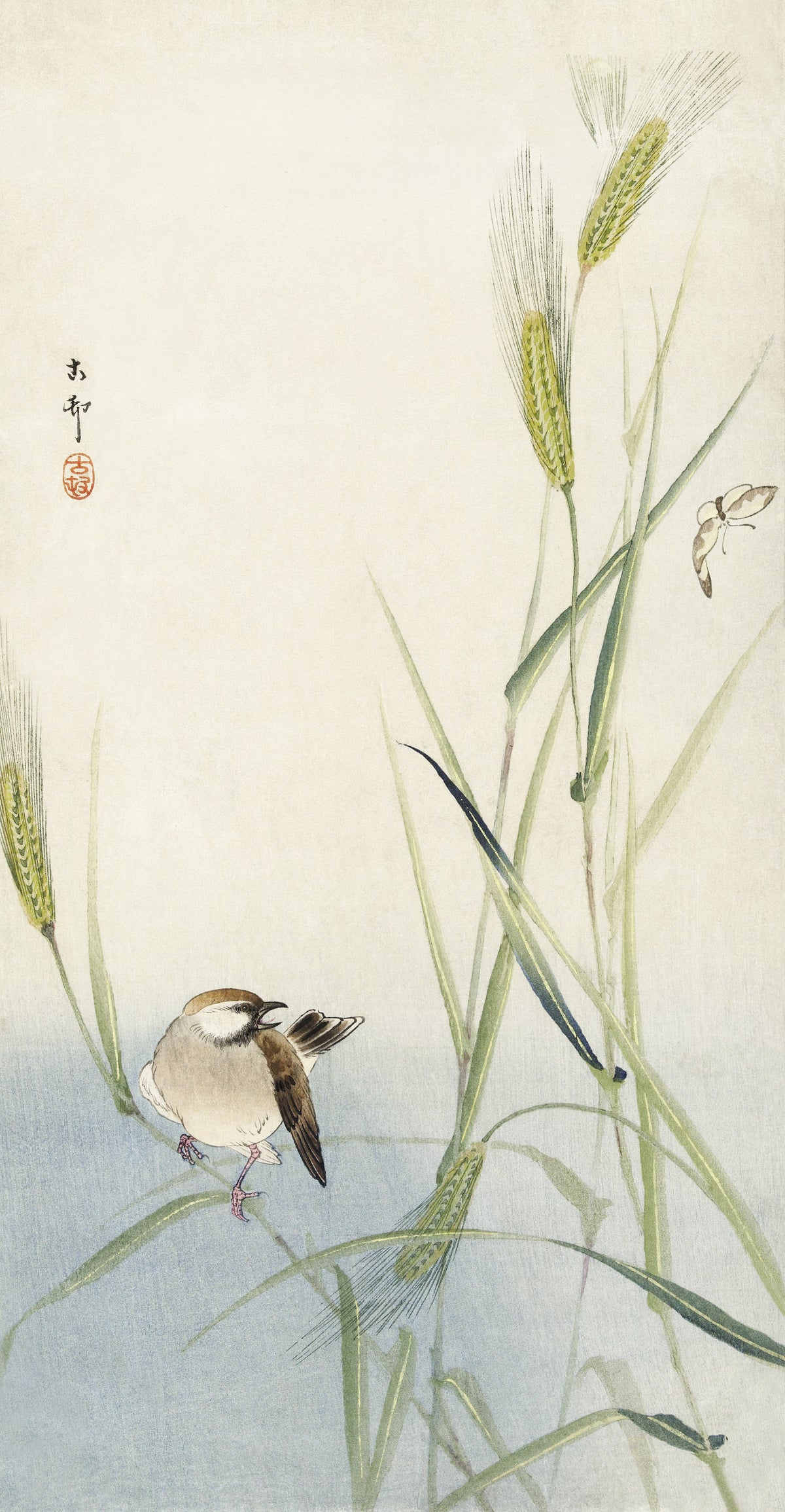Ohara Koson — Bird and Butterfly | Japanese Bird & Flower Woodblock Print