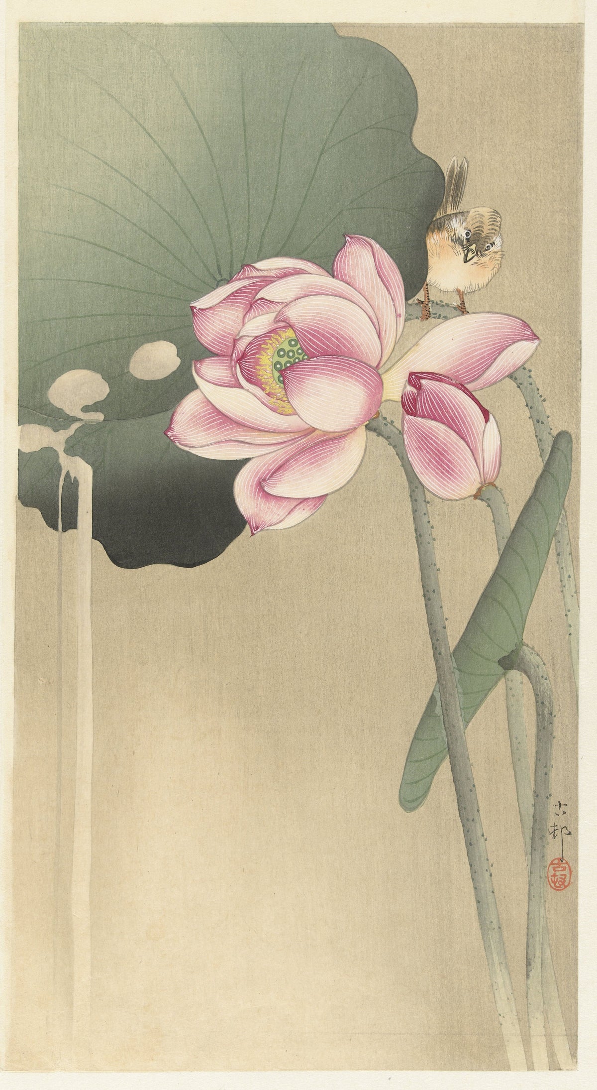 Ohara Koson — Songbird and Lotus | Japanese Bird & Flower Woodblock Print