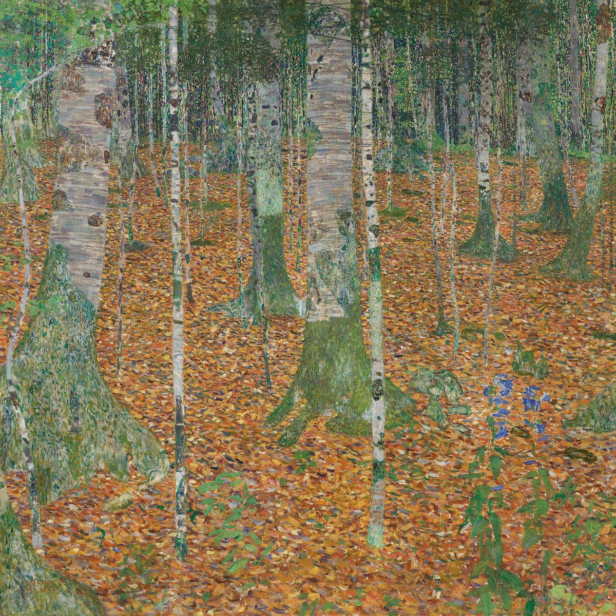 Gustav Klimt — Birch Forest | Fine Art Print