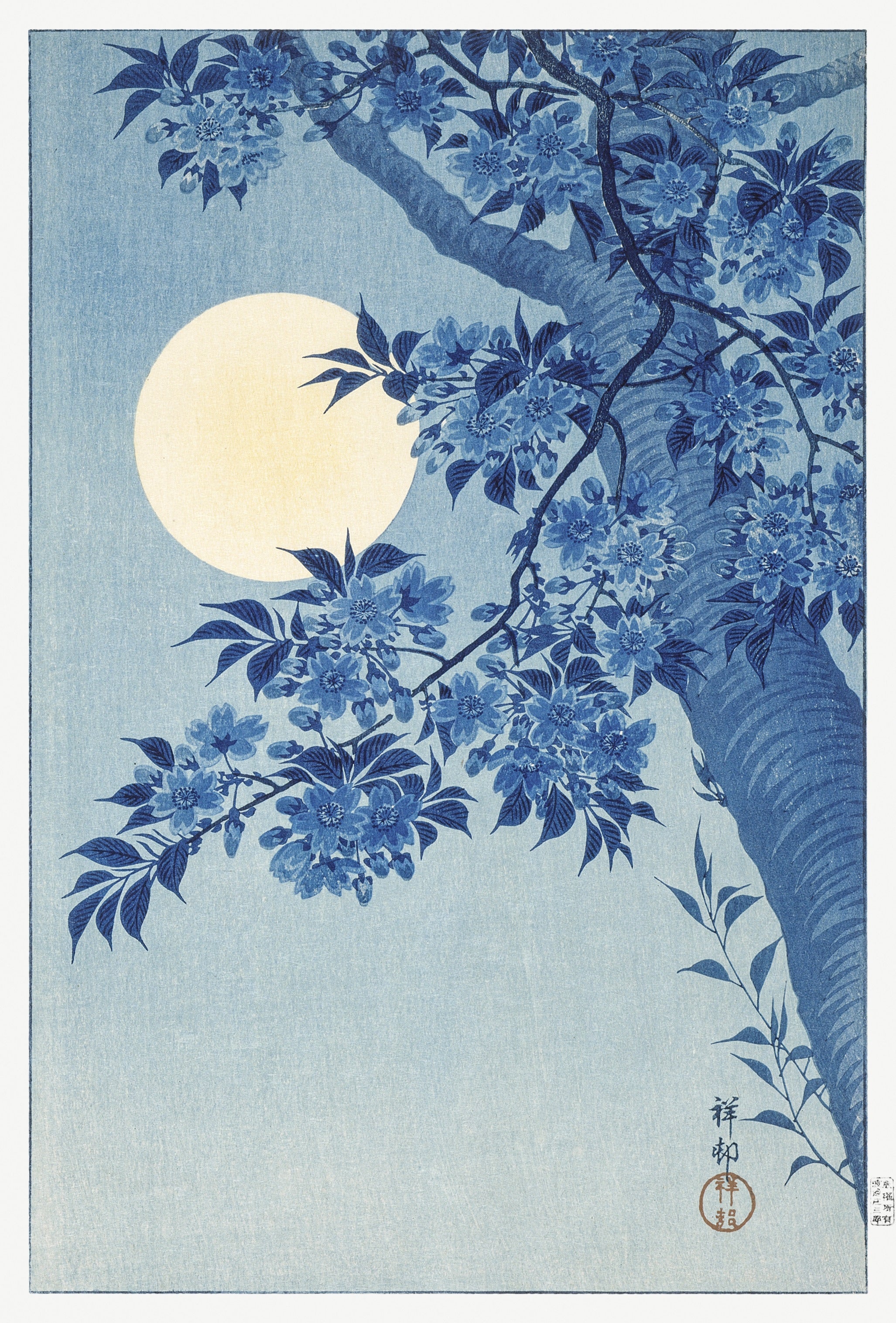 Ohara Koson — Blossoming Cherry on a Moonlit Night | Japanese Bird & Flower Woodblock Print