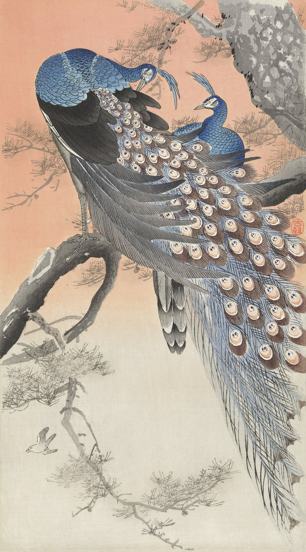 Ohara Koson — Two Peacocks on a Tree Branch | Japanese Bird & Flower Woodblock Print