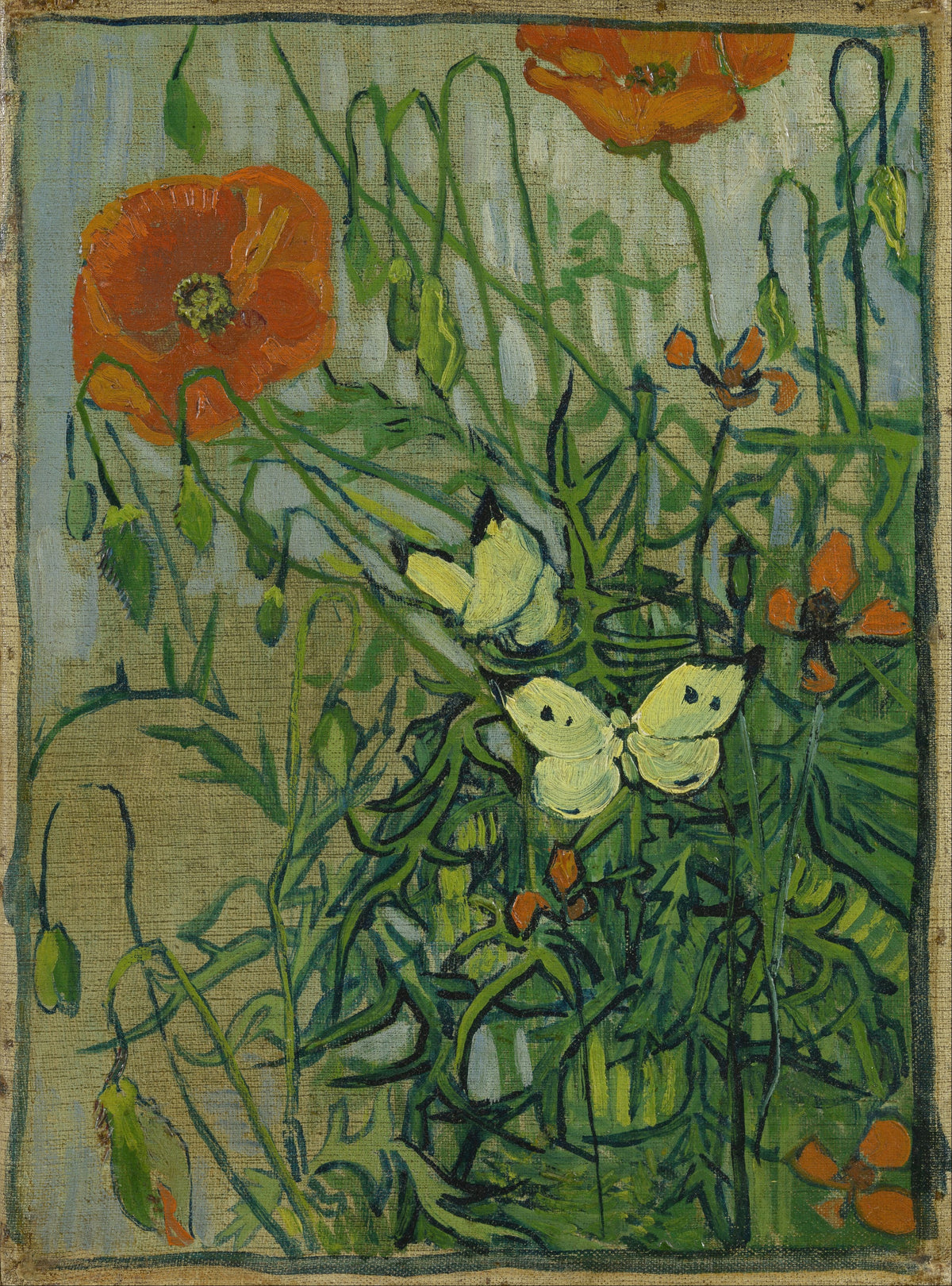 Vincent van Gogh — Butterflies and Poppies | Fine Art Print