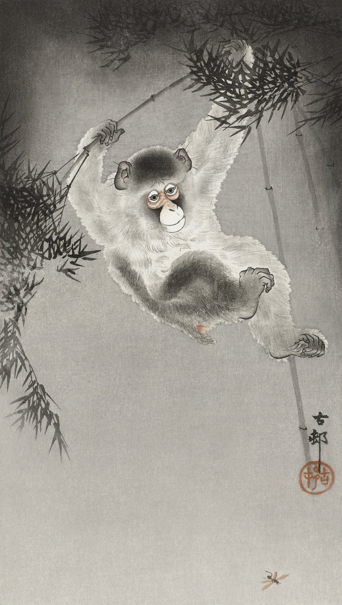 Ohara Koson — Monkey Hanging from Bamboo Branch | Japanese Bird & Flower Woodblock Print