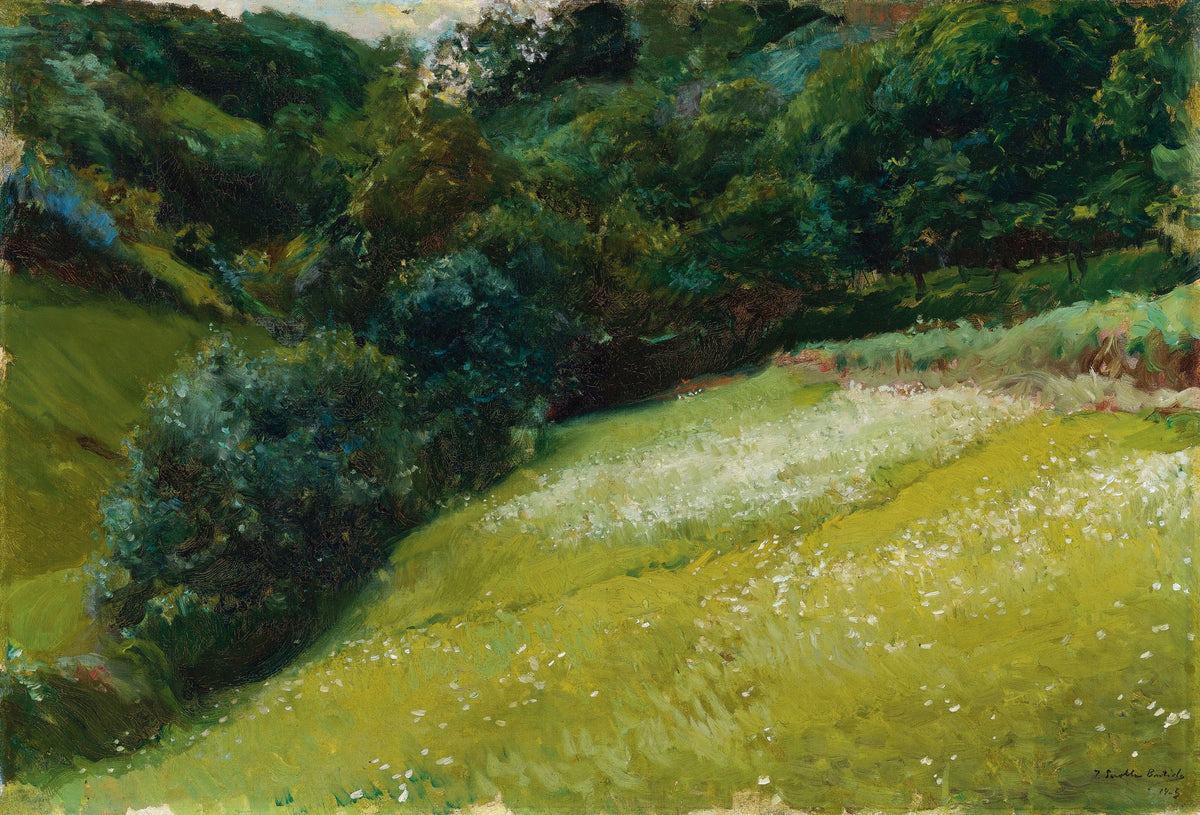 Joaquín Sorolla — Field in Asturias, San Esteban de Pravia | Fine Art Print