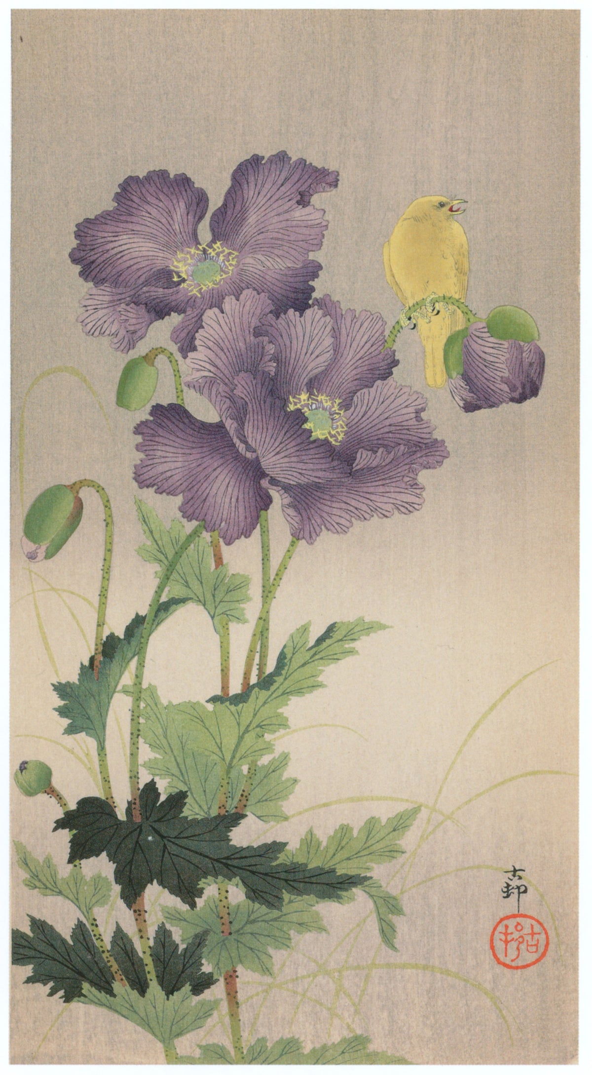 Ohara Koson — Canary and Poppies | Japanese Bird & Flower Woodblock Print