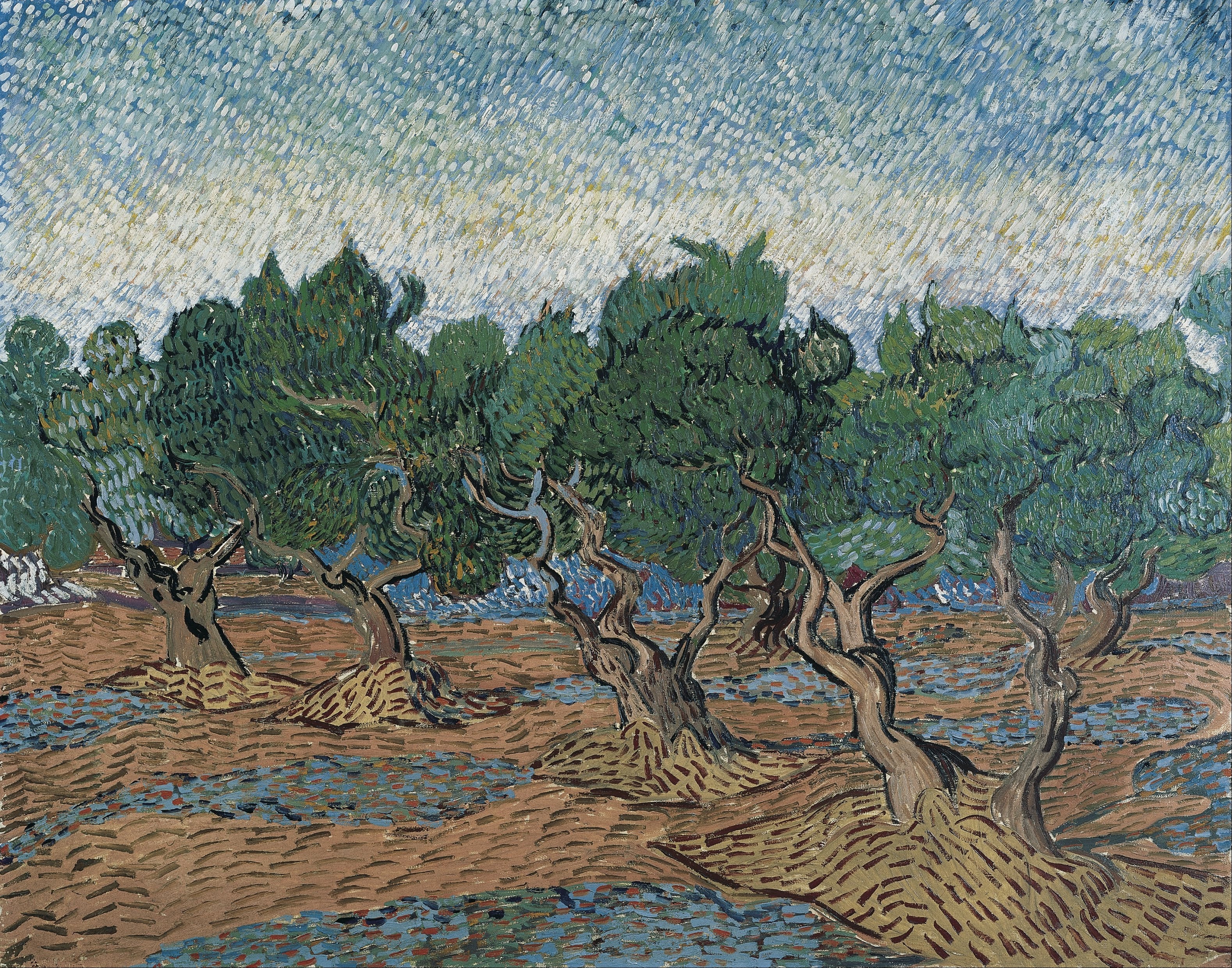 Vincent van Gogh — Olive Grove | Fine Art Print