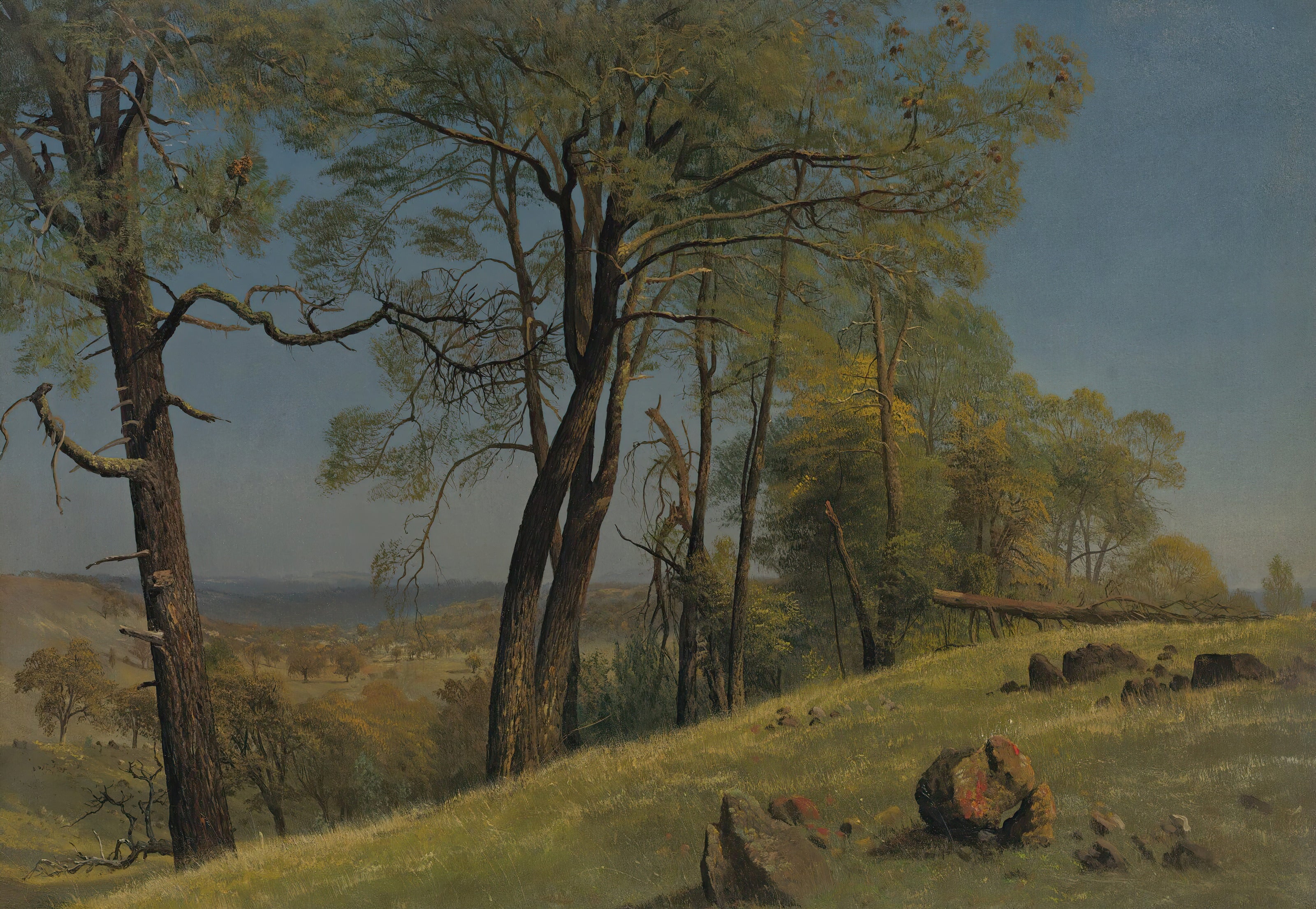 Albert Bierstadt — Rockland County, California | Landscape Fine Art Print