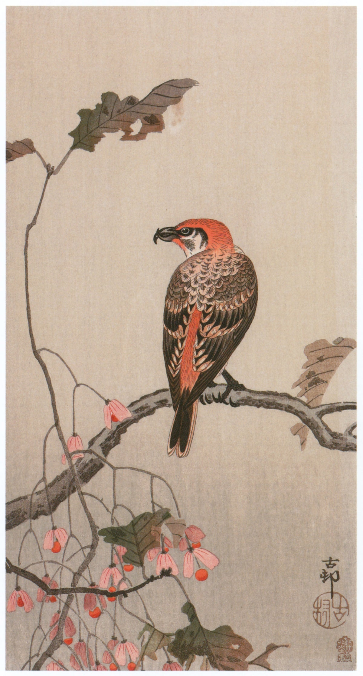 Ohara Koson — Crossbill and Begonia | Japanese Bird & Flower Woodblock Print