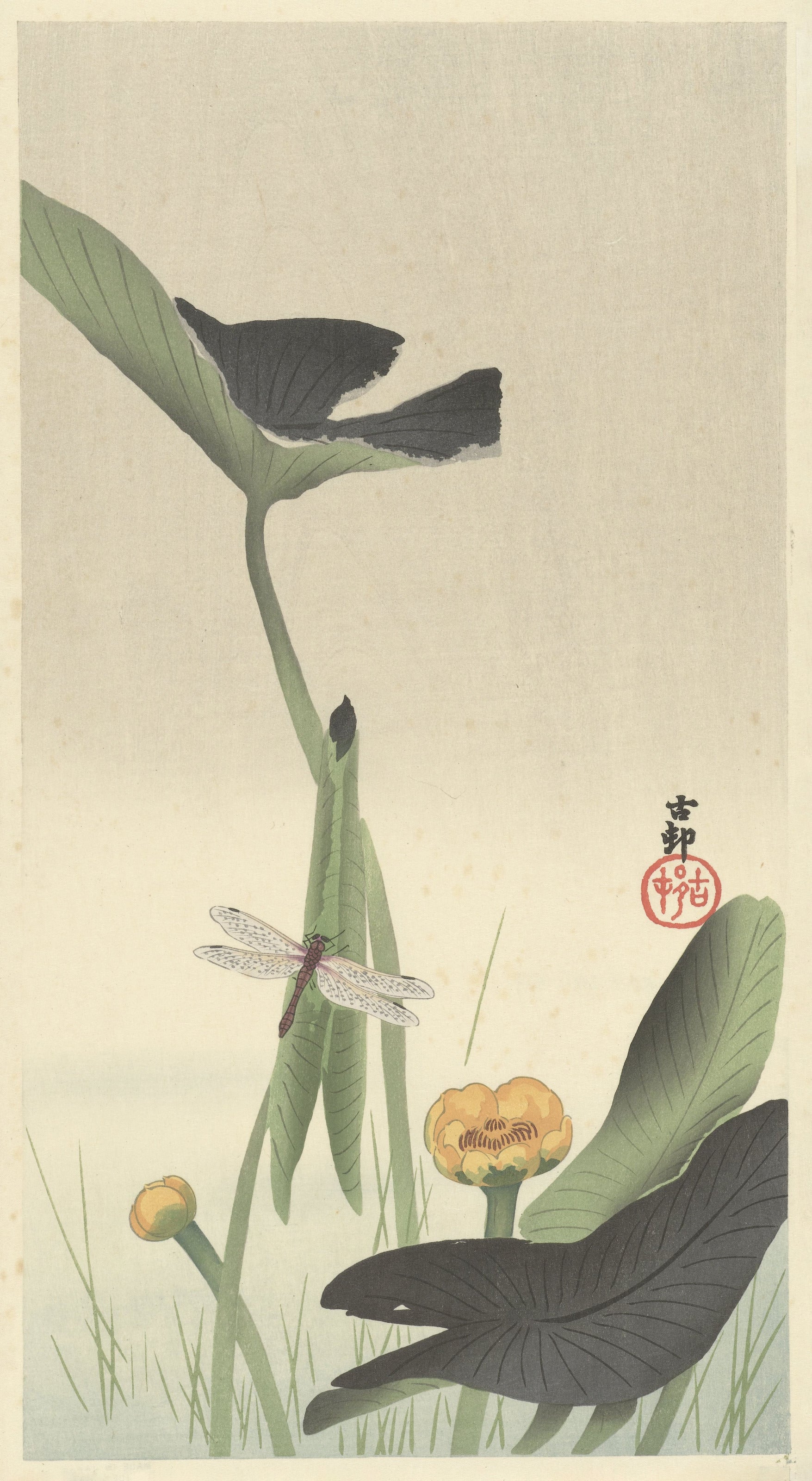 Ohara Koson — Dragonfly and Lotus | Japanese Bird & Flower Woodblock Print