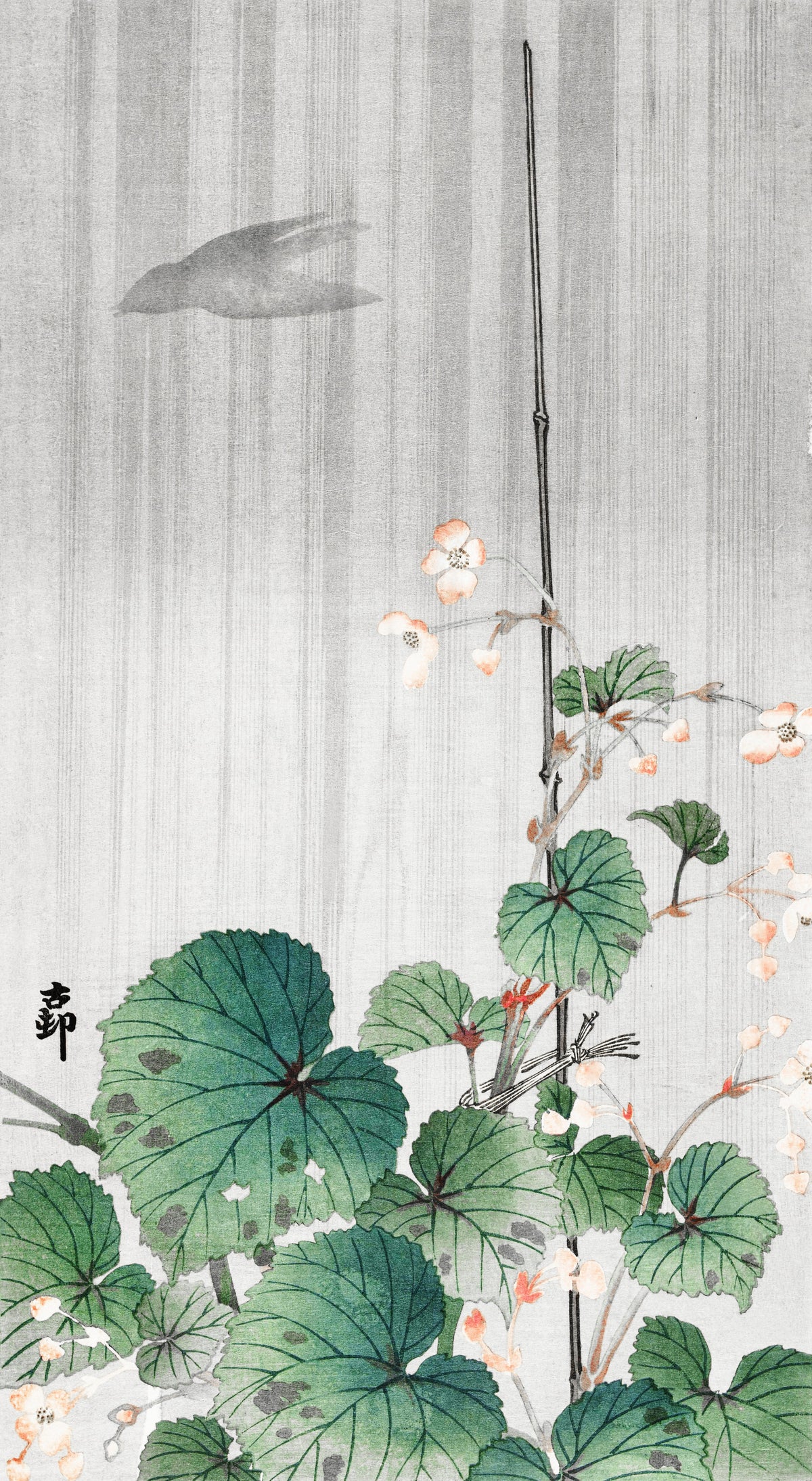 Ohara Koson — Begonia in the Rain | Japanese Bird & Flower Woodblock Print