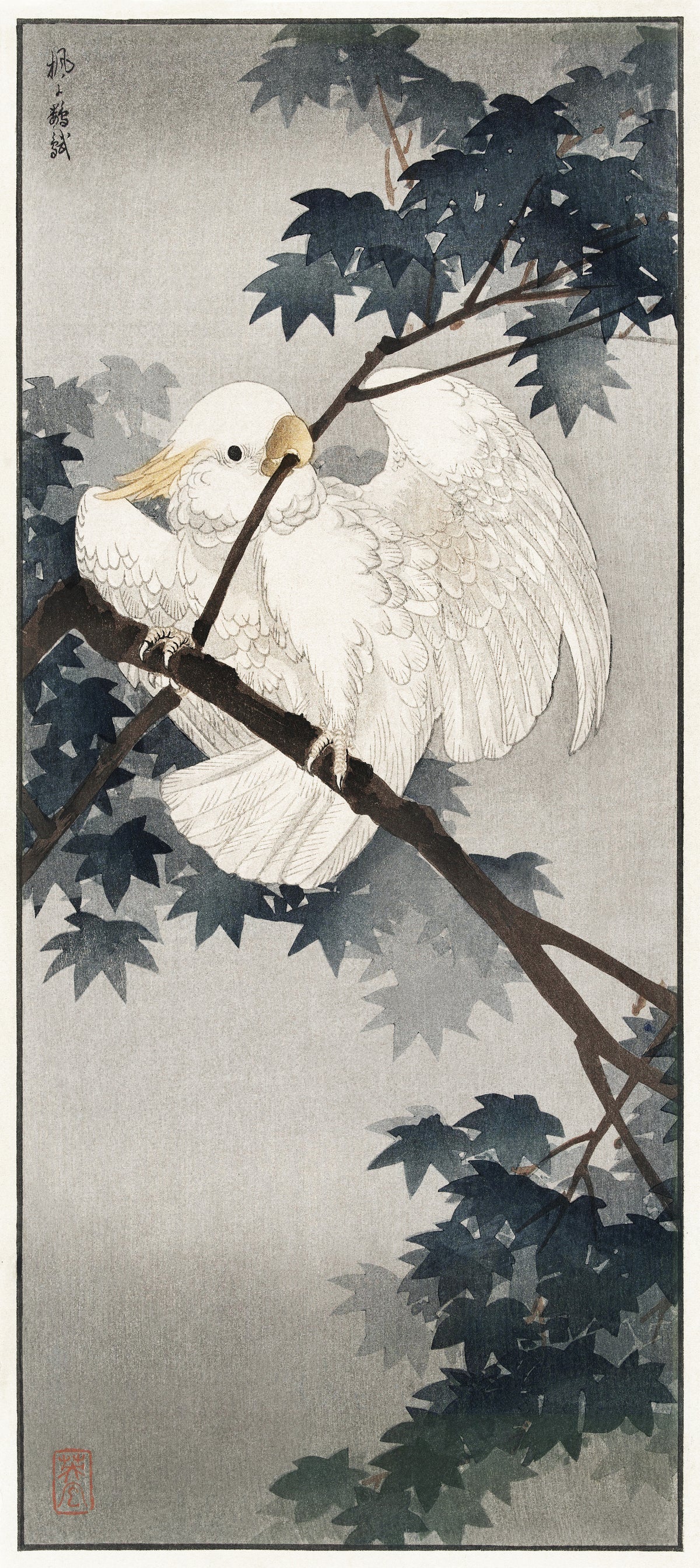 Ohara Koson — Yellow-crested Cockatoo in Tree | Japanese Bird & Flower Woodblock Print