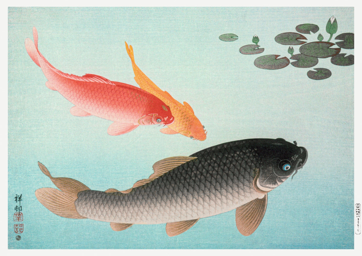 Ohara Koson — Common and Golden Carp | Japanese Bird & Flower Woodblock Print