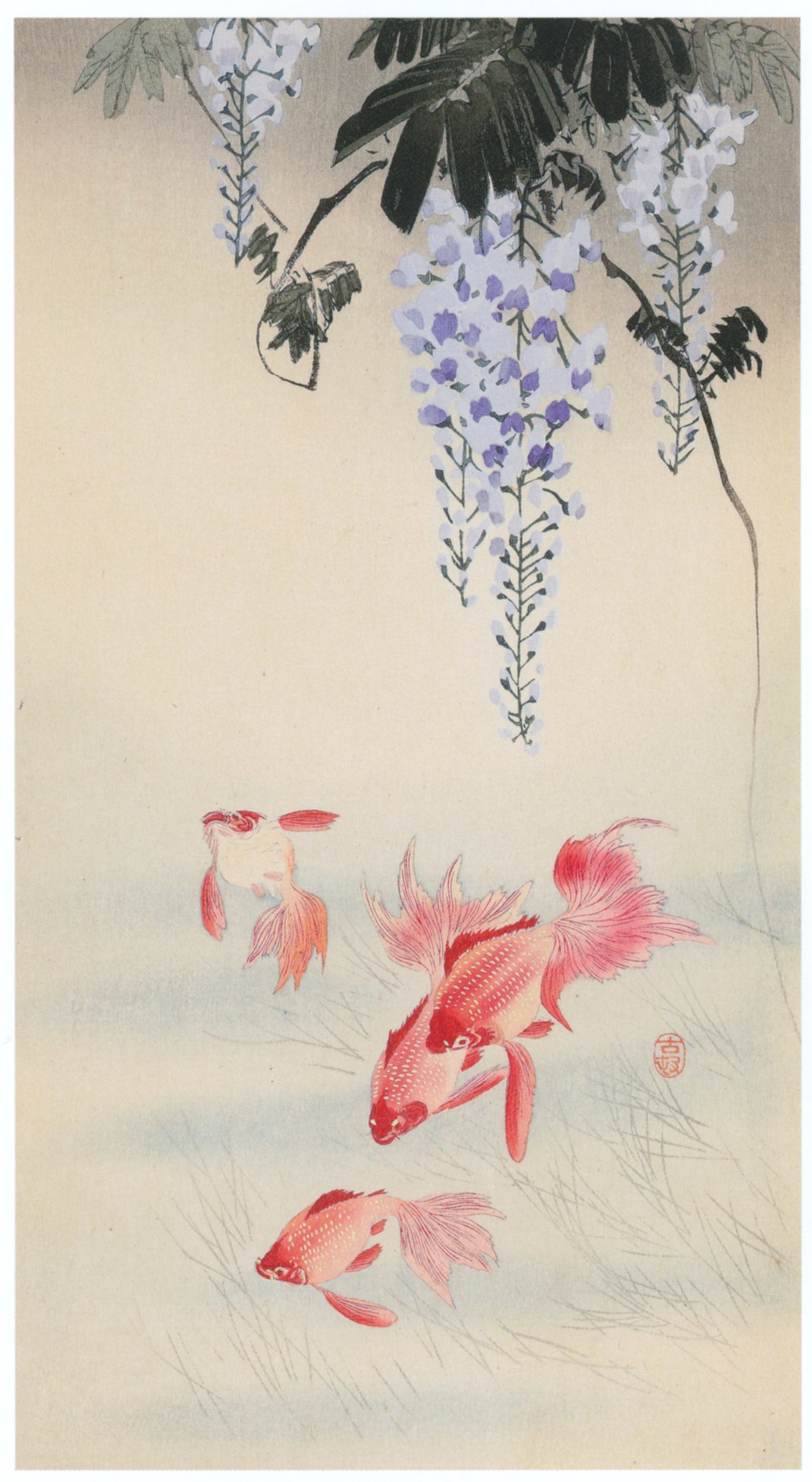 Ohara Koson — Goldfish and Wisteria | Japanese Bird & Flower Woodblock Print