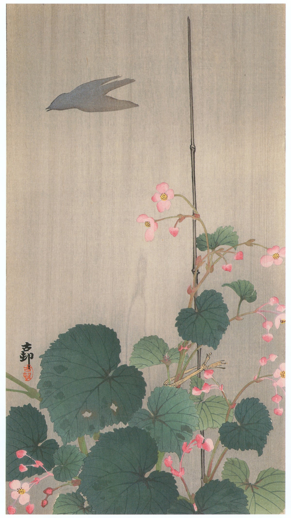 Ohara Koson — Begonia in Rain with Bird Shadow | Japanese Bird & Flower Woodblock Print