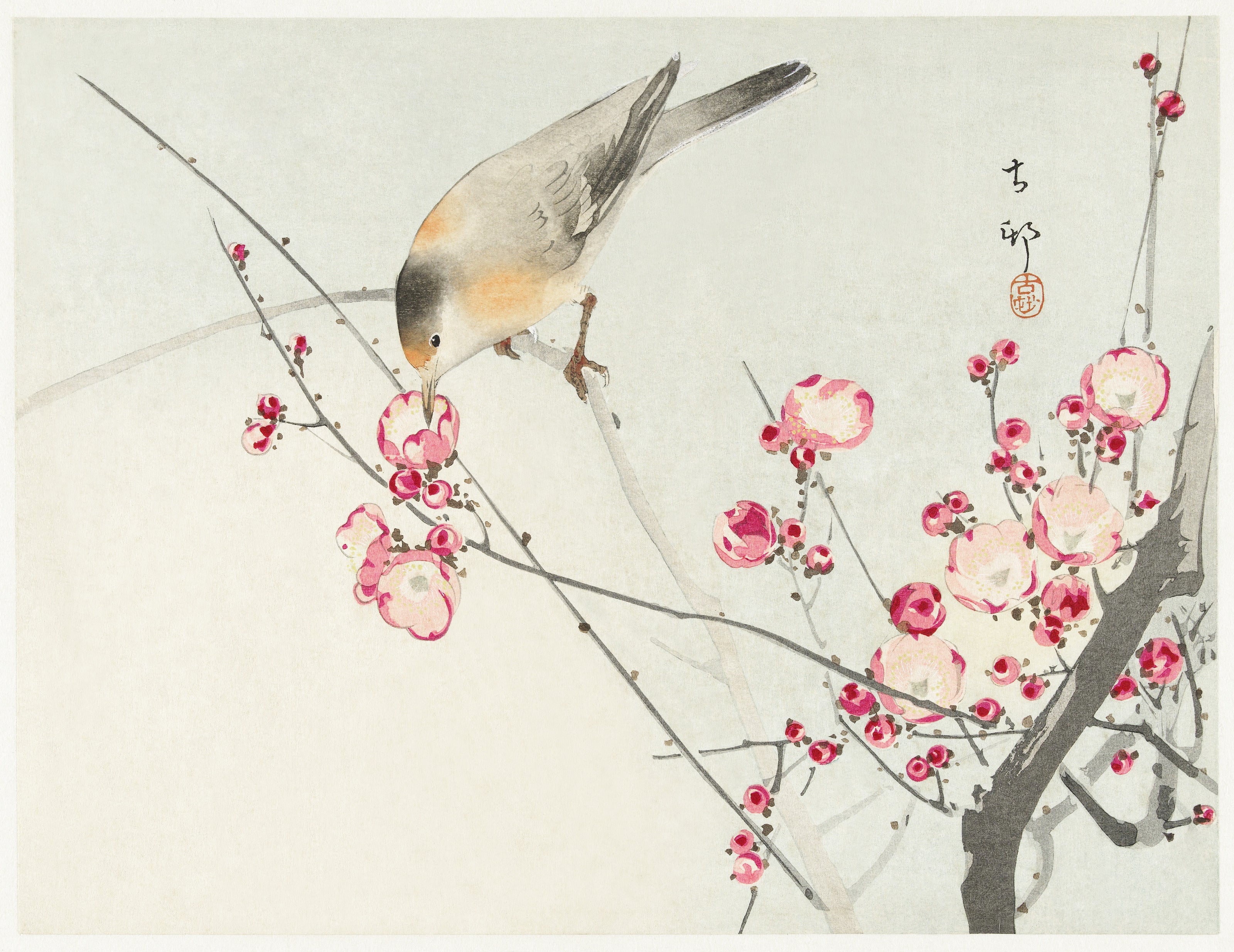 Ohara Koson — Songbird on Blossom Branch | Japanese Bird & Flower Woodblock Print