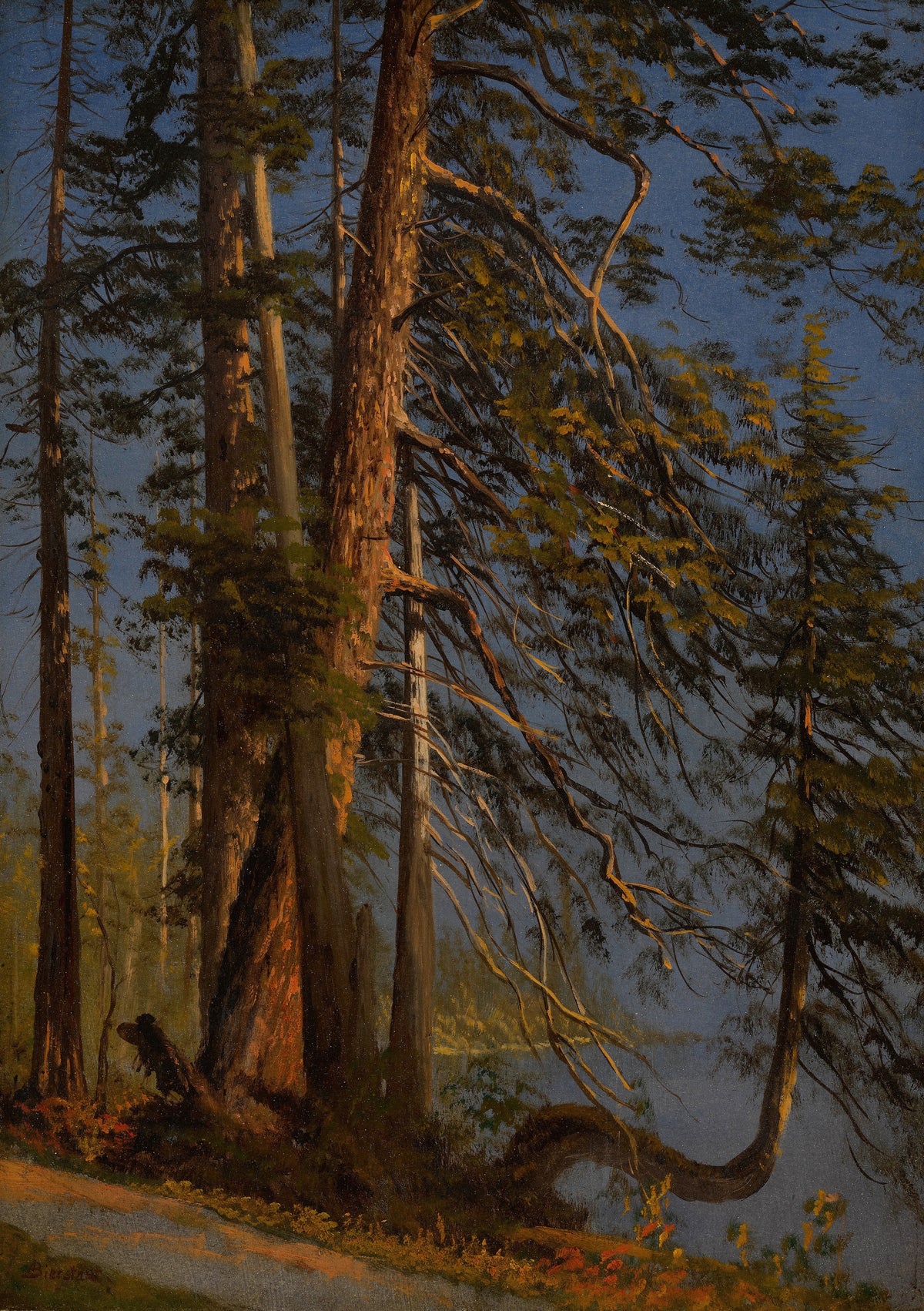 Albert Bierstadt — Park at Vancouver | Landscape Fine Art Print