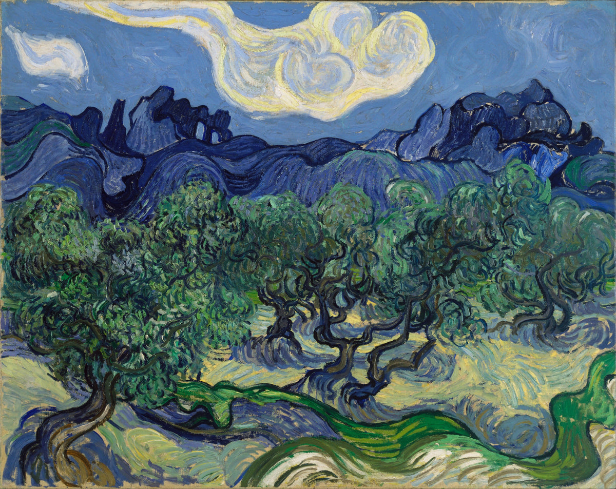 Vincent van Gogh — The Olive Trees | Fine Art Print