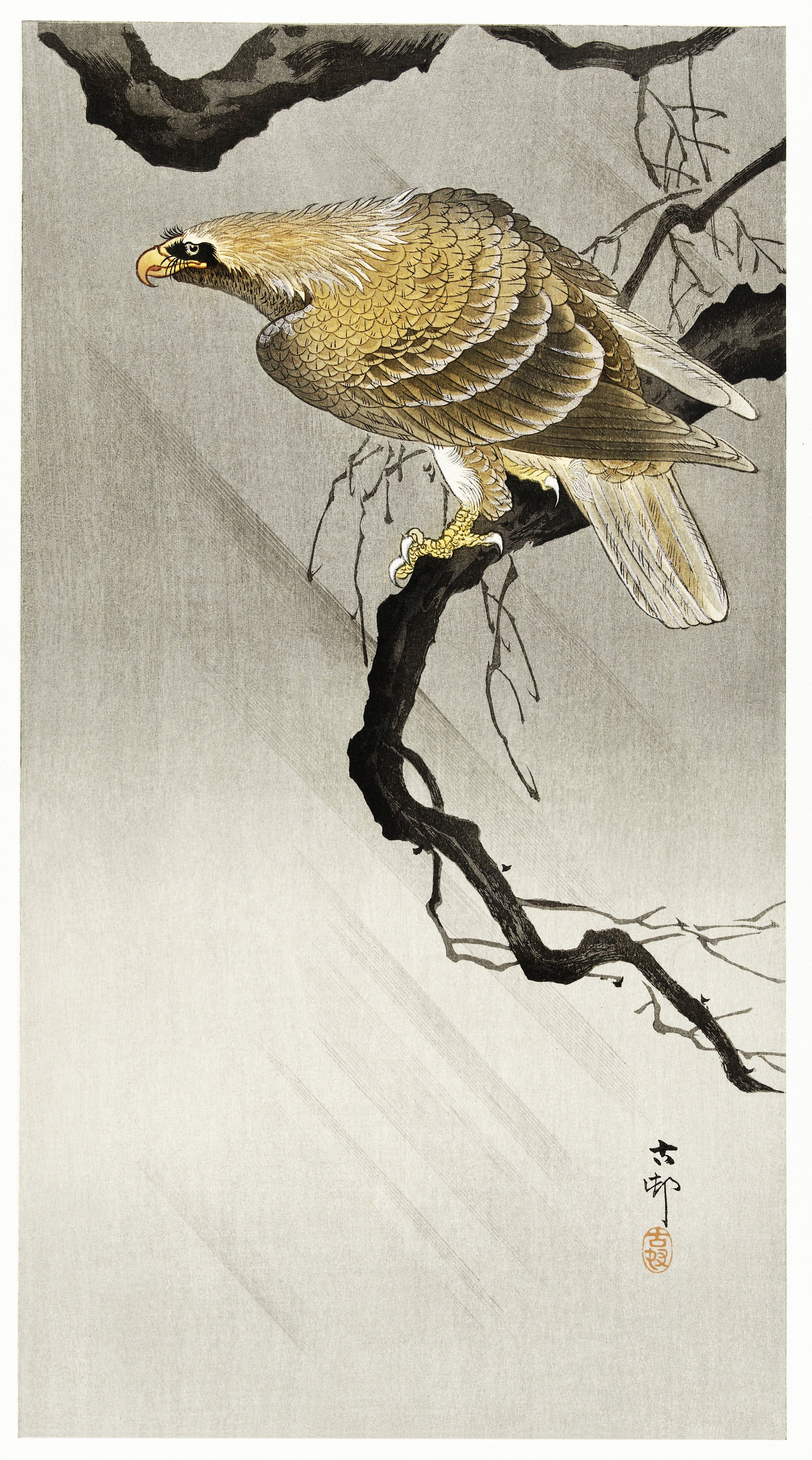 Ohara Koson — Eagle on Branch | Japanese Bird & Flower Woodblock Print