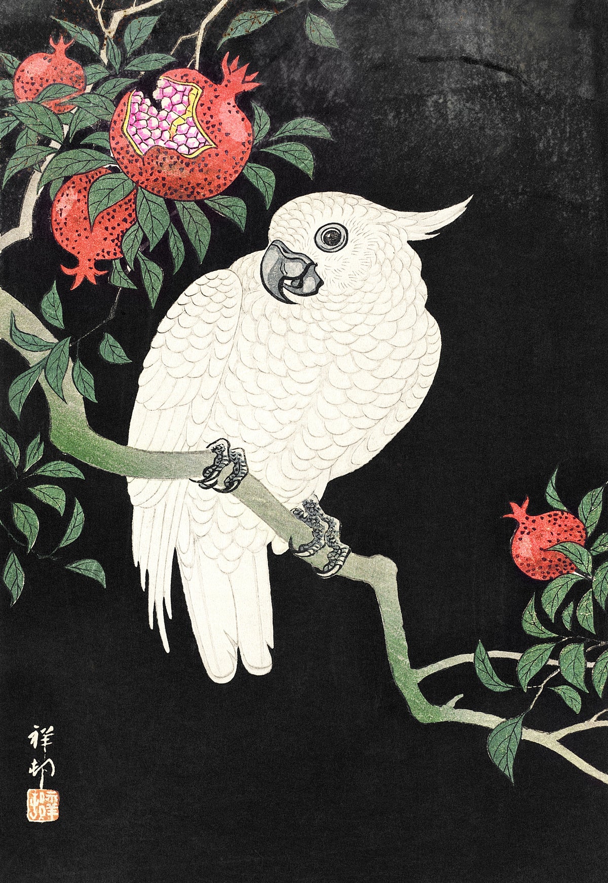 Ohara Koson — Cockatoo and Pomegranate | Japanese Bird & Flower Woodblock Print