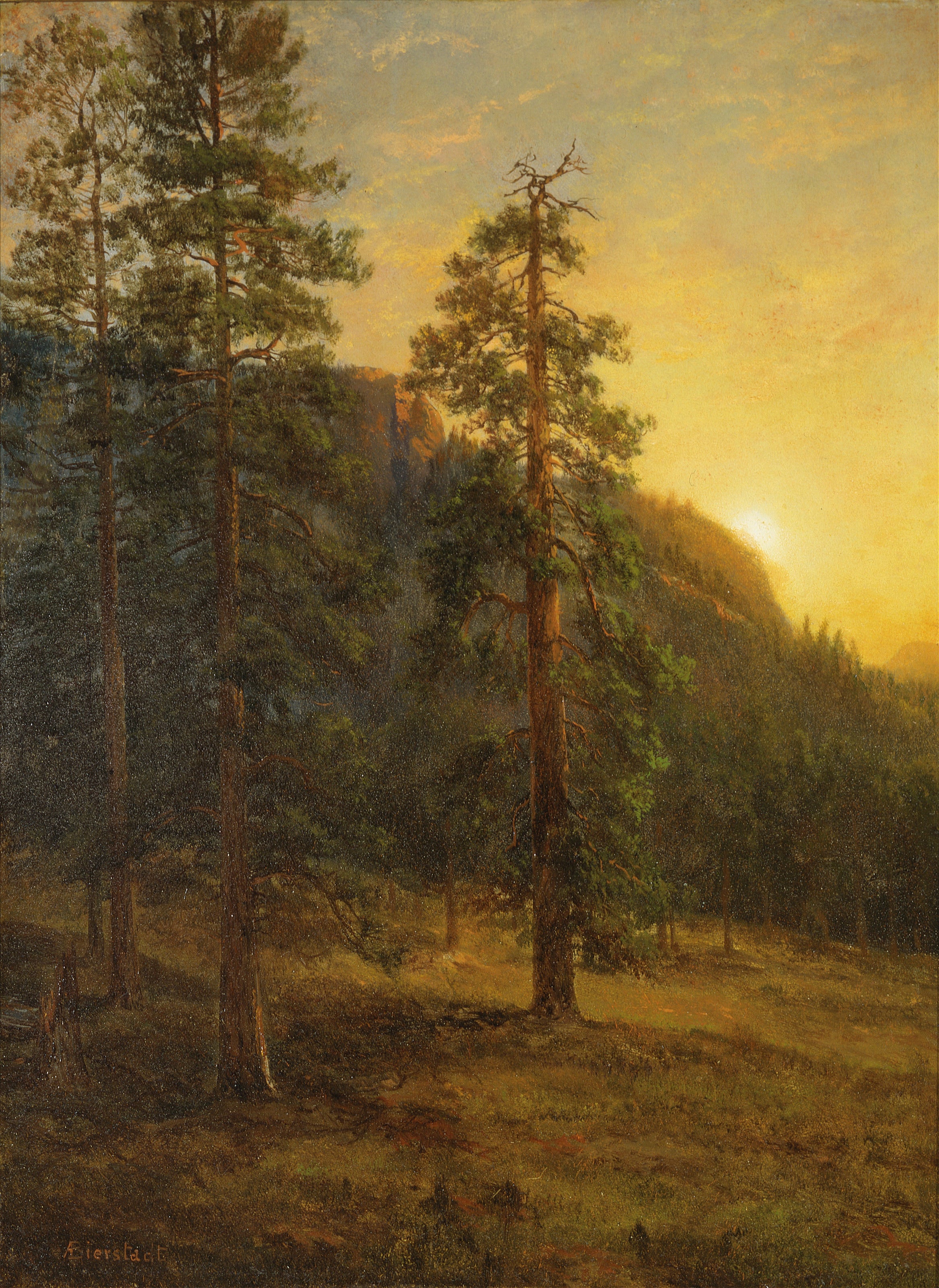 Albert Bierstadt — California Redwoods | Landscape Fine Art Print