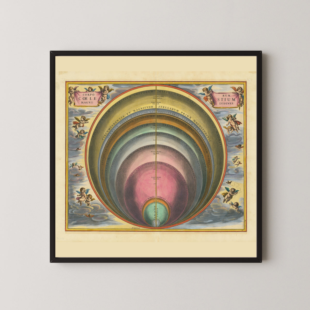 Andreas Cellarius — The Magnitudes of the Celestial Bodies (Plate 10, Rose Colouring) | Celestial Map Print