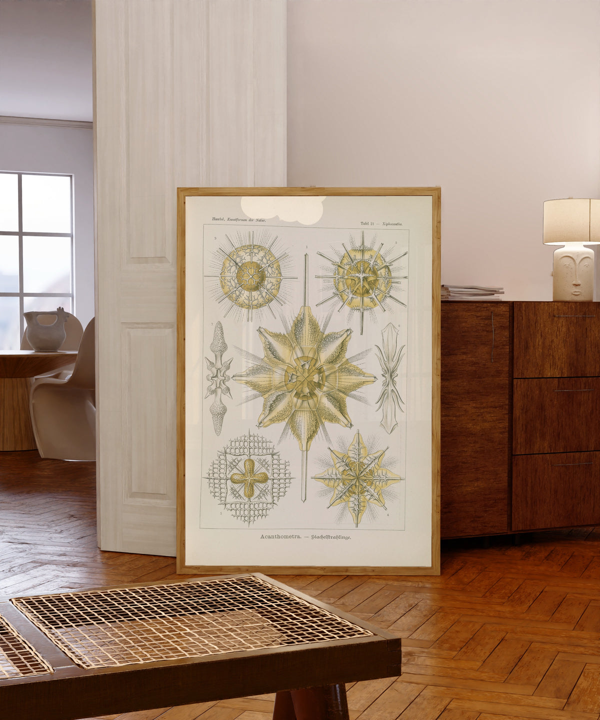 Framed art print of Kunstformen der Natur, Plate 21: Acanthometra by Ernst Haeckel, in a light wood frame leaning in a warm room with a parquet floor