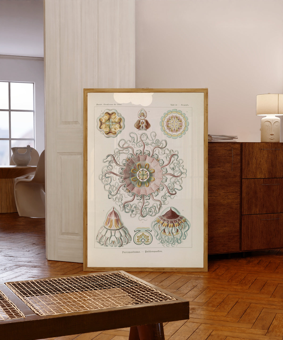 Framed art print of Kunstformen der Natur, Plate 38: Peromedusae by Ernst Haeckel, in a light wood frame leaning in a warm room with a parquet floor