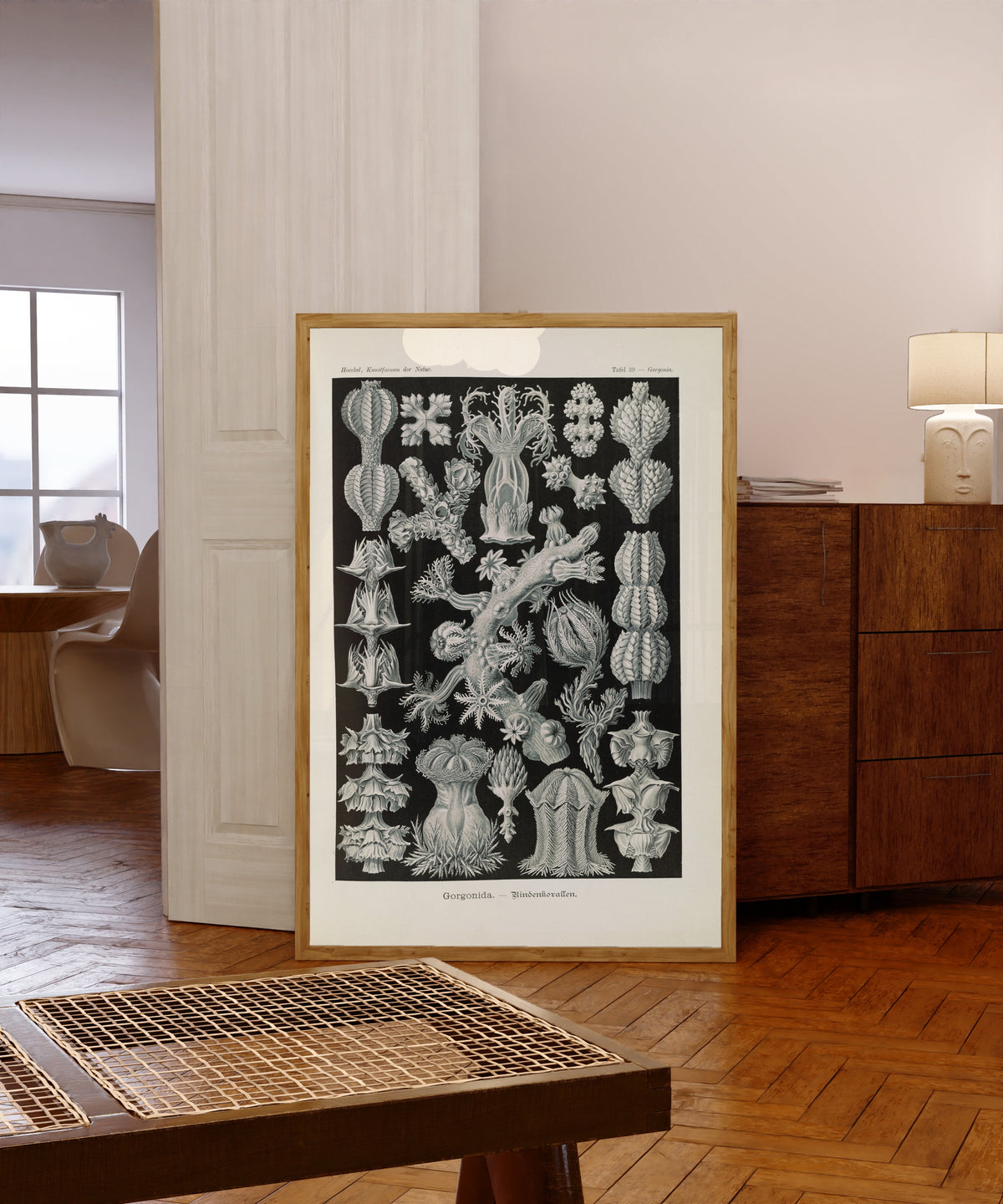Framed art print of Kunstformen der Natur, Plate 39: Gorgonida by Ernst Haeckel, in a light wood frame leaning in a warm room with a parquet floor