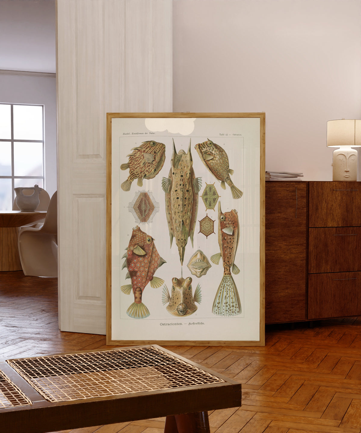 Framed art print of Kunstformen der Natur, Plate 42: Ostraciontes by Ernst Haeckel, in a light wood frame leaning in a warm room with a parquet floor