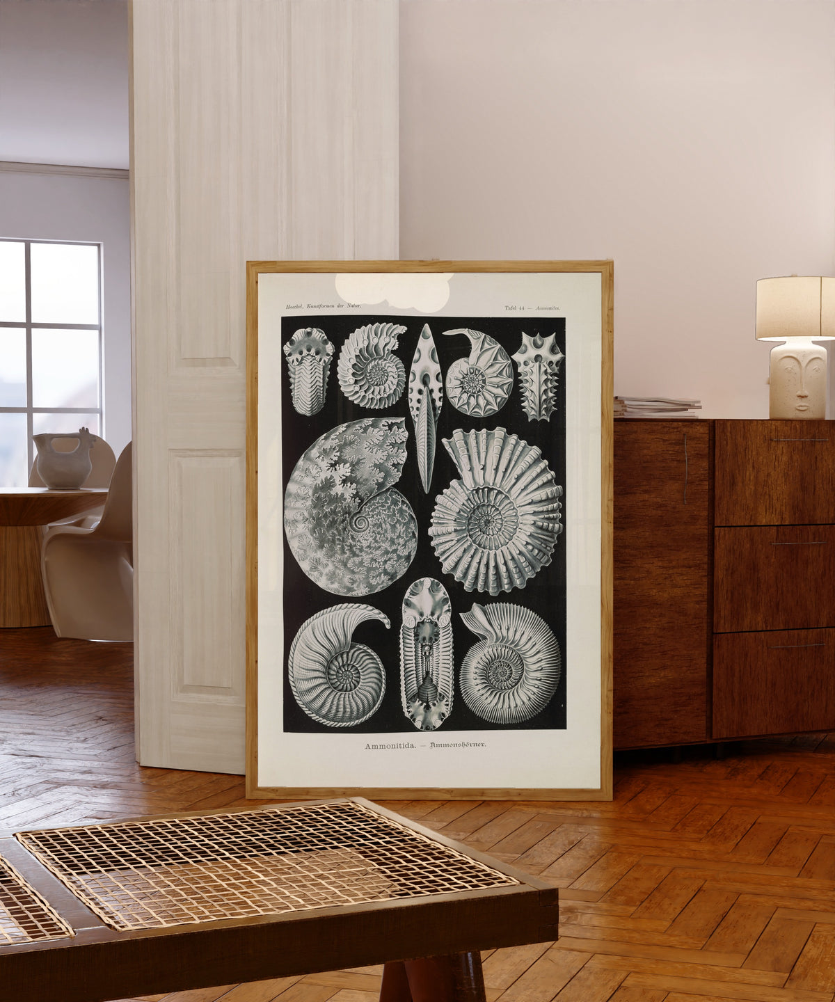 Framed art print of Kunstformen der Natur, Plate 44: Ammonitida by Ernst Haeckel, in a light wood frame leaning in a warm room with a parquet floor