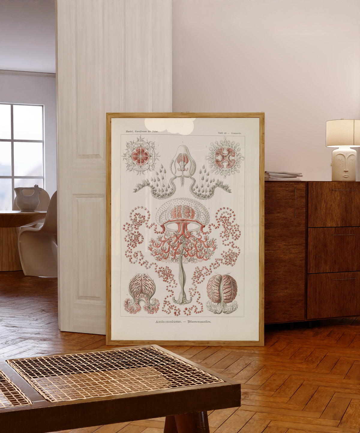 Framed art print of Kunstformen der Natur, Plate 46: Anthomedusae by Ernst Haeckel, in a light wood frame leaning in a warm room with a parquet floor