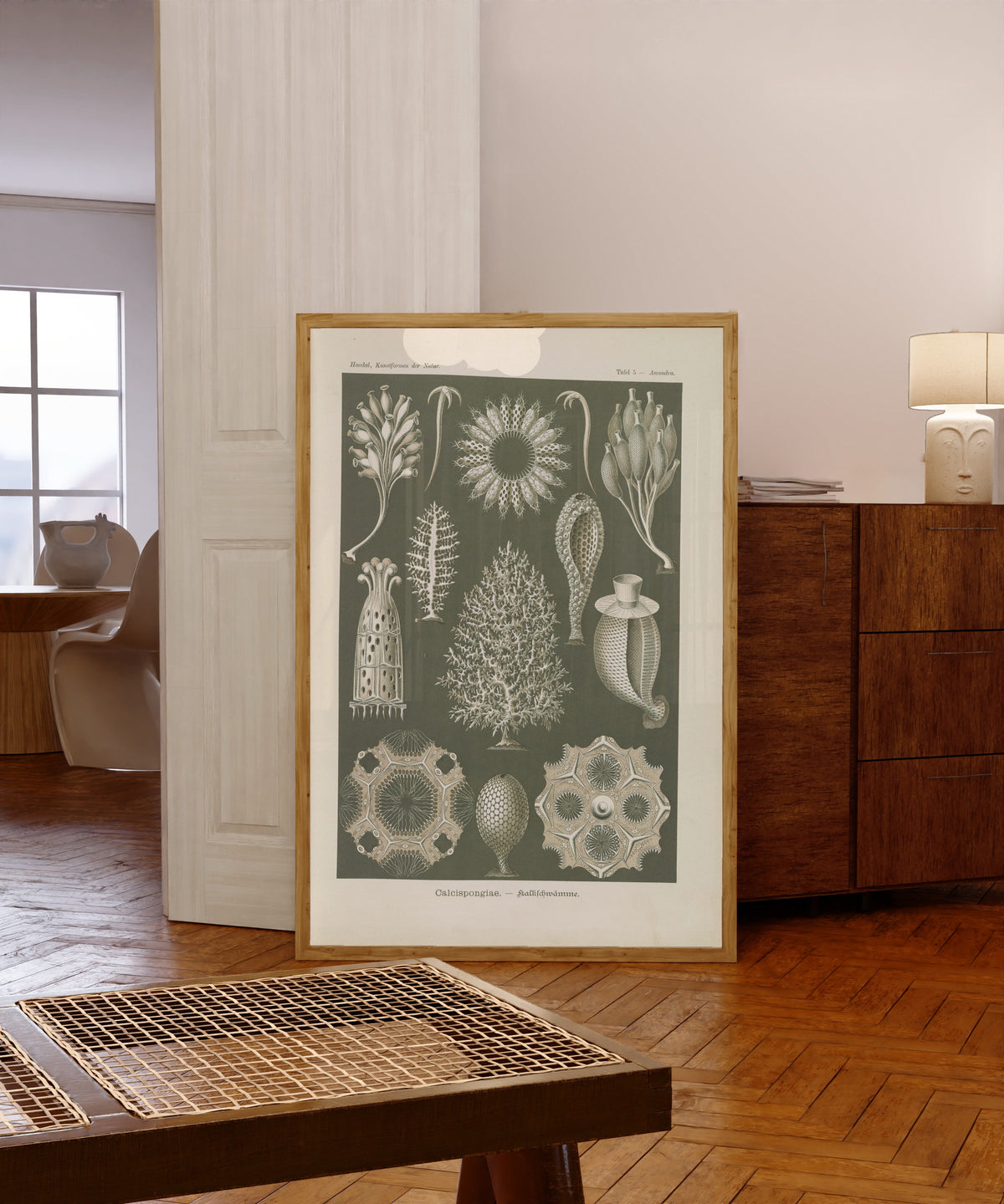 Framed art print of Kunstformen der Natur, Plate 5: Calcispongiae by Ernst Haeckel, in a light wood frame leaning in a warm room with a parquet floor